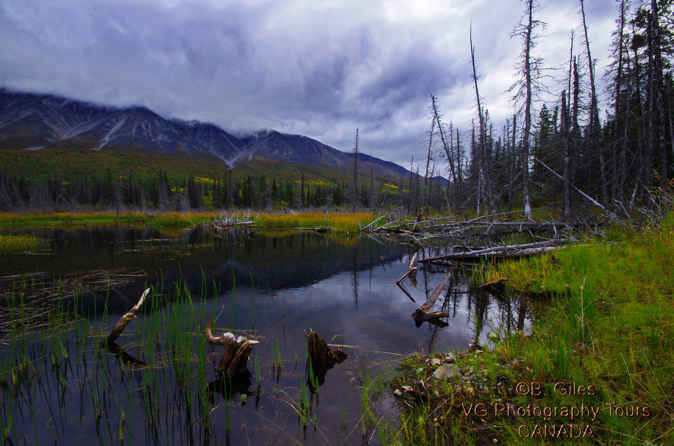 Pentax K-5 IIs sample photo. Yukon pond photography