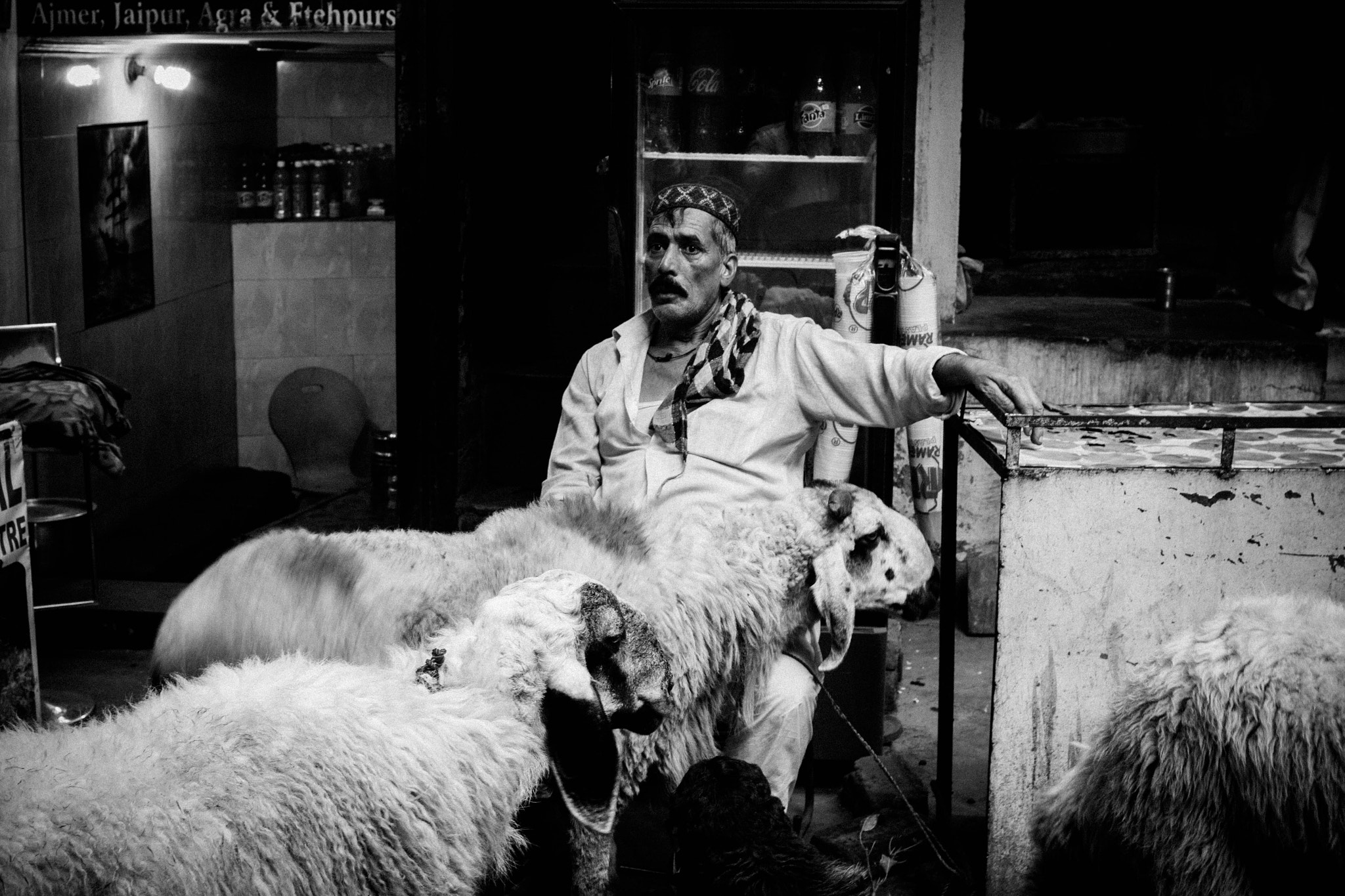 Canon EOS 1200D (EOS Rebel T5 / EOS Kiss X70 / EOS Hi) + Canon EF 35mm F1.4L USM sample photo. Sheep seller on the eve of eid photography