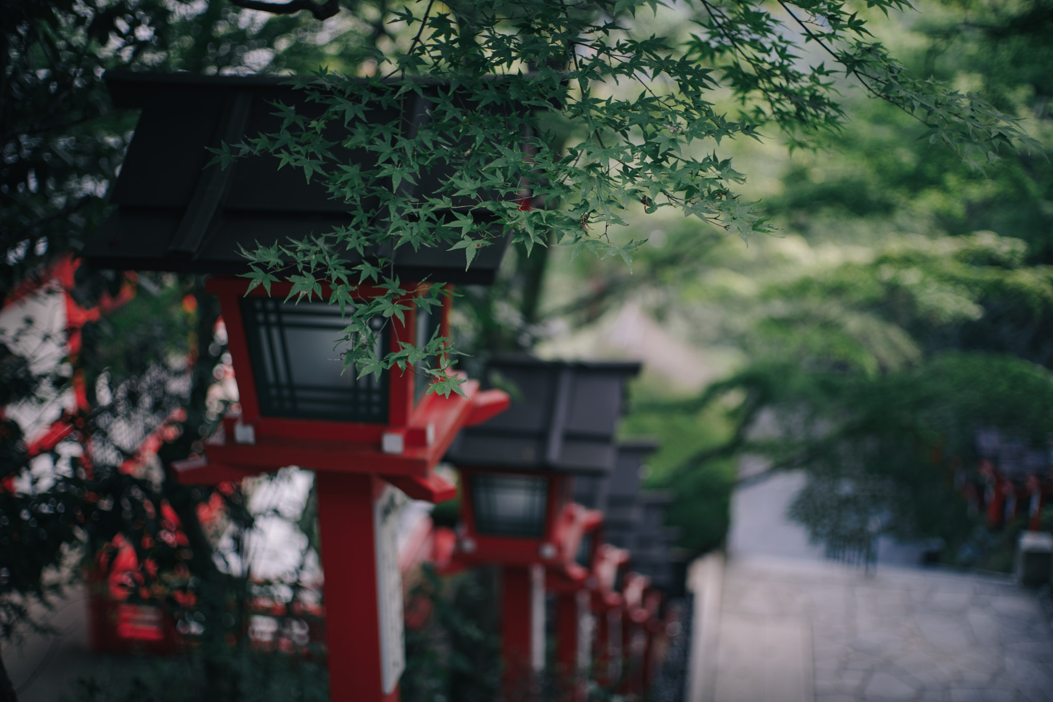 Pentax K-1 + Pentax smc FA 43mm F1.9 Limited sample photo. Kyoto. photography