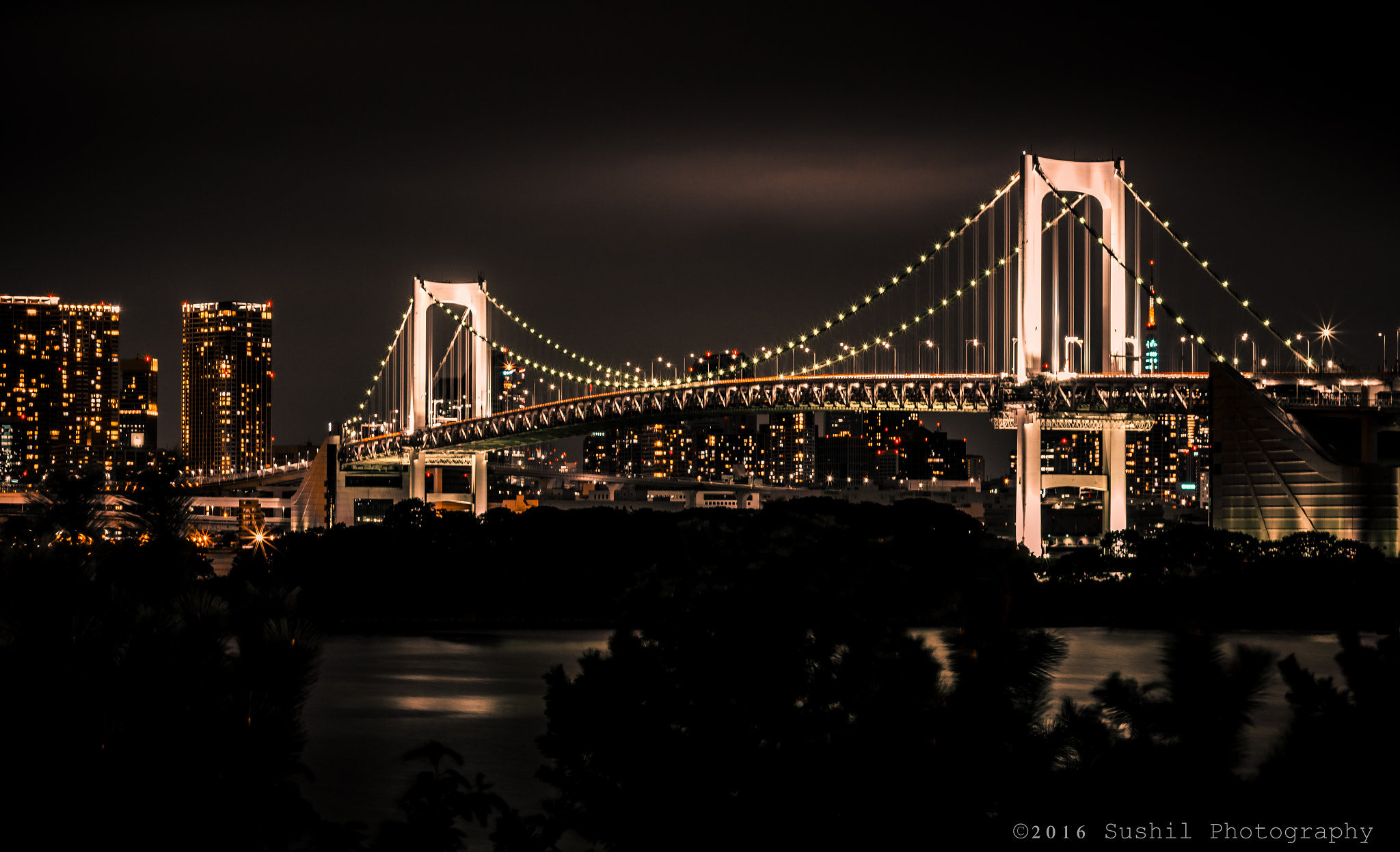 Canon EOS 700D (EOS Rebel T5i / EOS Kiss X7i) sample photo. Odaiba nights 02 photography