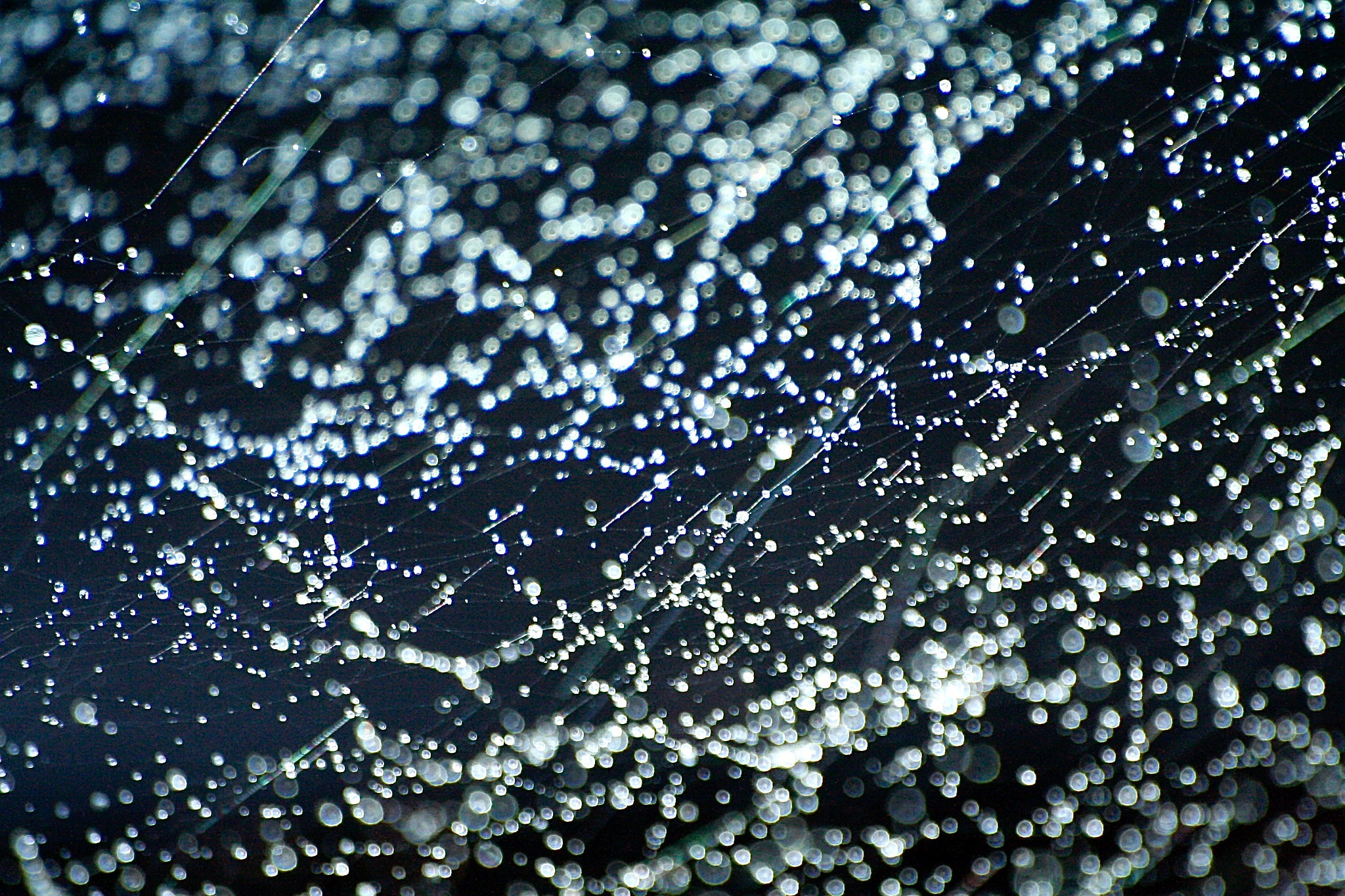 Canon EOS 350D (EOS Digital Rebel XT / EOS Kiss Digital N) sample photo. Stars in the dark photography