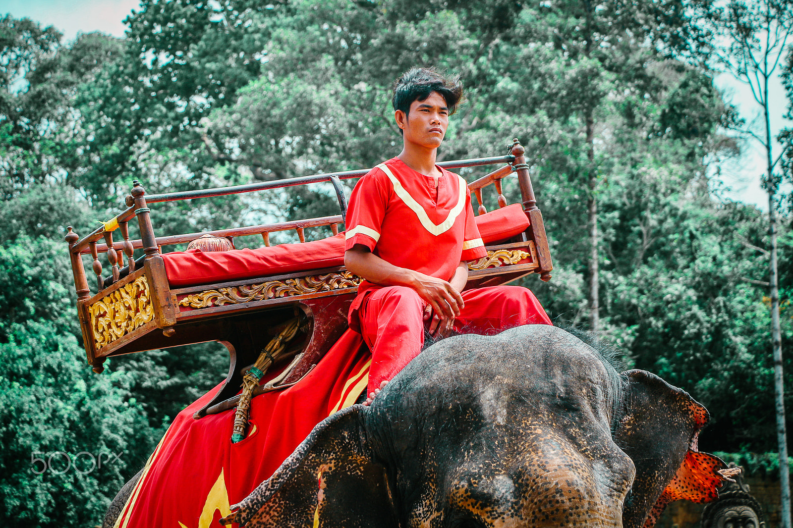 Canon EOS 100D (EOS Rebel SL1 / EOS Kiss X7) sample photo. Elephant ride photography