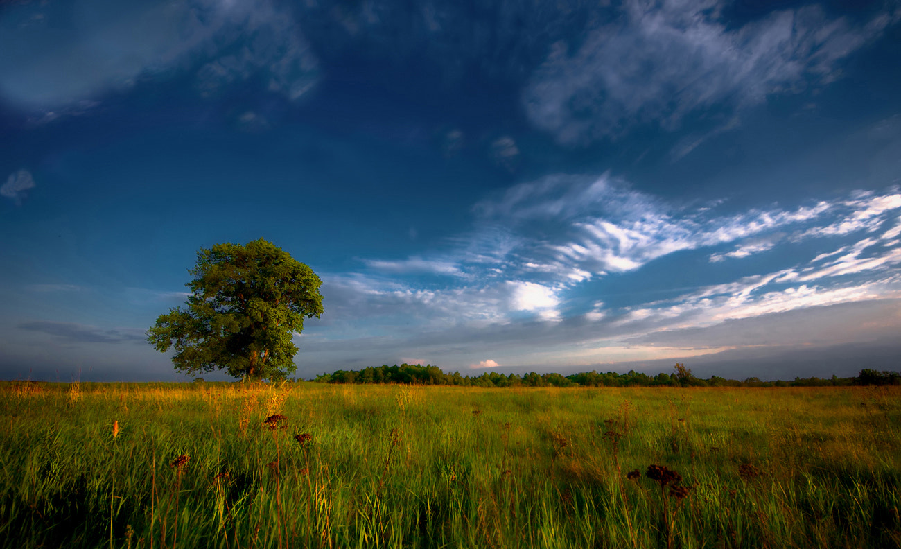 Sigma 8-16mm F4.5-5.6 DC HSM sample photo. *** photography