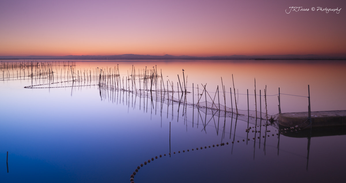 Sony Alpha DSLR-A850 + Sony Vario-Sonnar T* 16-35mm F2.8 ZA SSM sample photo. Calm in the albufera photography