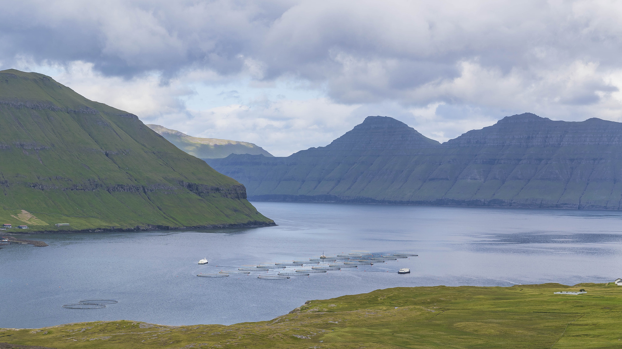 Sigma 17-70mm F2.8-4 DC Macro OS HSM | C sample photo. Faroese fishfarm photography