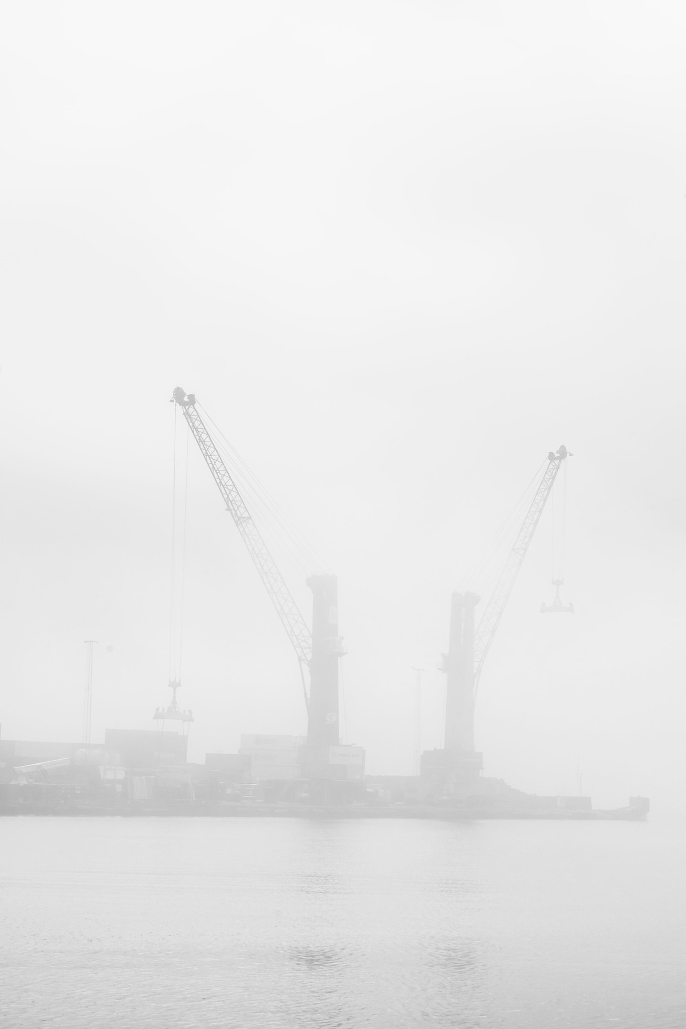 Sigma 17-70mm F2.8-4 DC Macro OS HSM | C sample photo. Through the mist photography