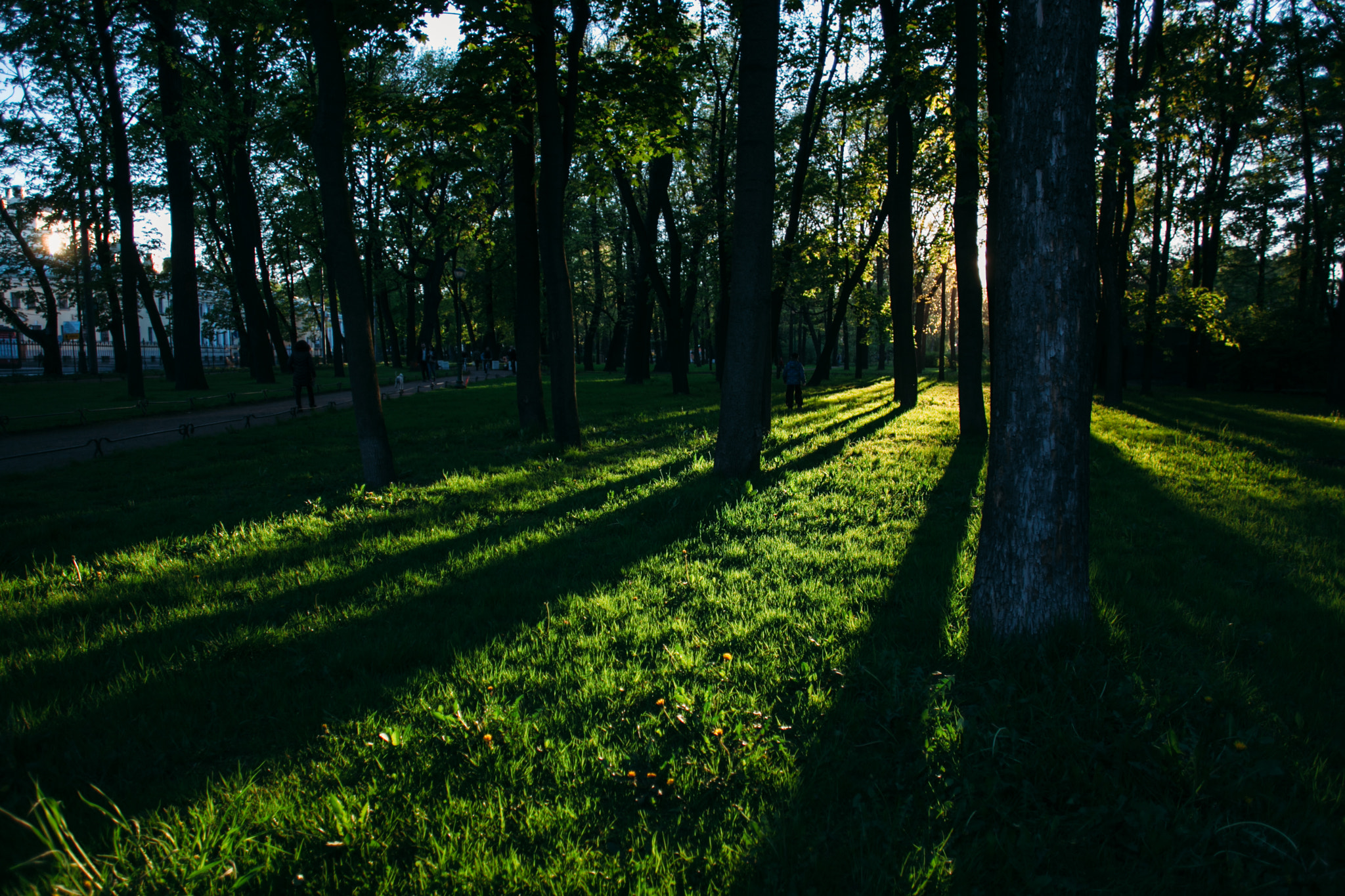 Canon EF 20mm F2.8 USM sample photo. Sunset photography