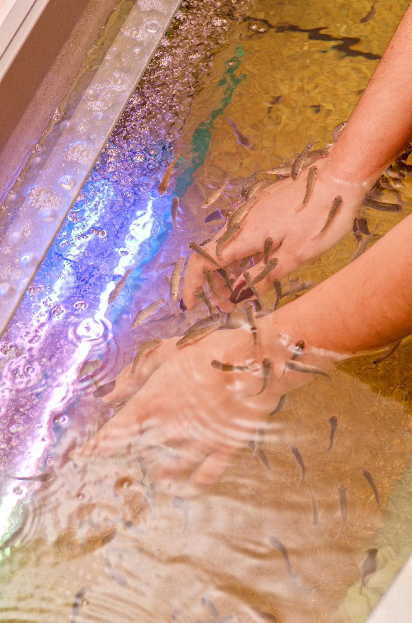 Nikon AF-S Nikkor 28-70mm F2.8 ED-IF sample photo. Fish therapy photography