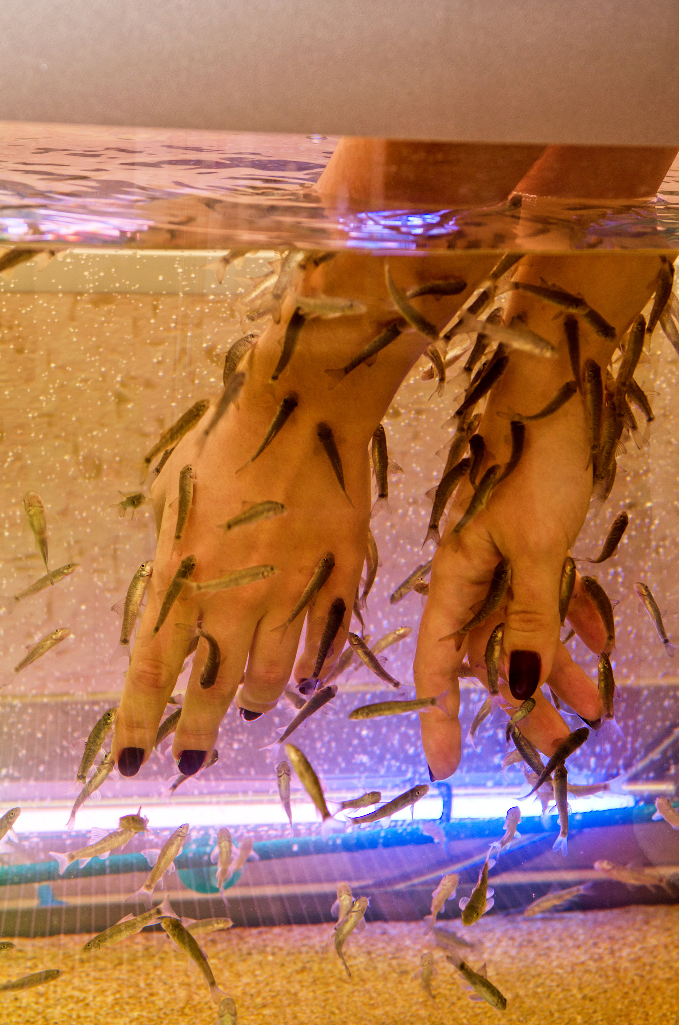 Nikon AF-S Nikkor 28-70mm F2.8 ED-IF sample photo. Fish therapy photography