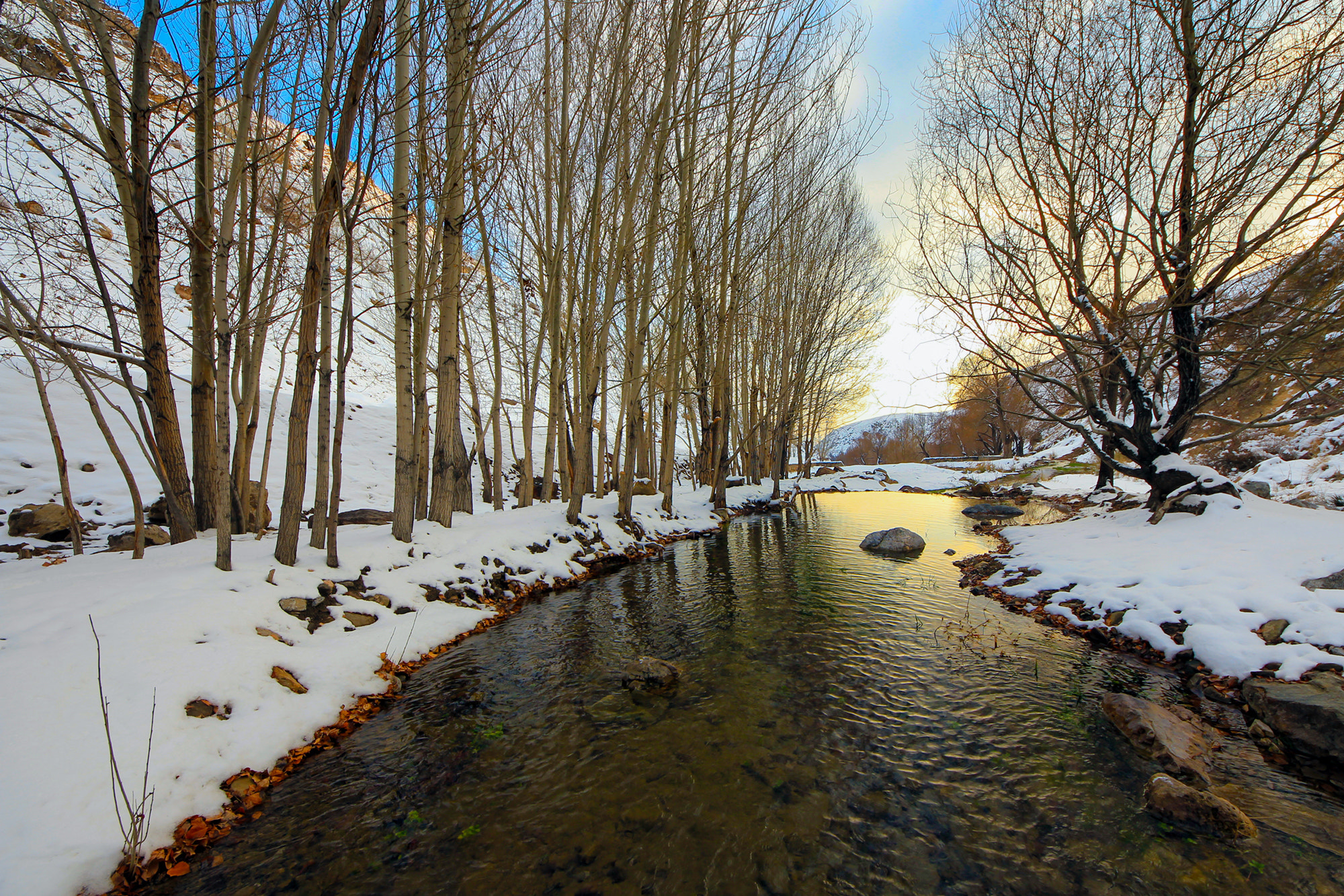 Sigma 8-16mm F4.5-5.6 DC HSM sample photo. Winter sunset photography