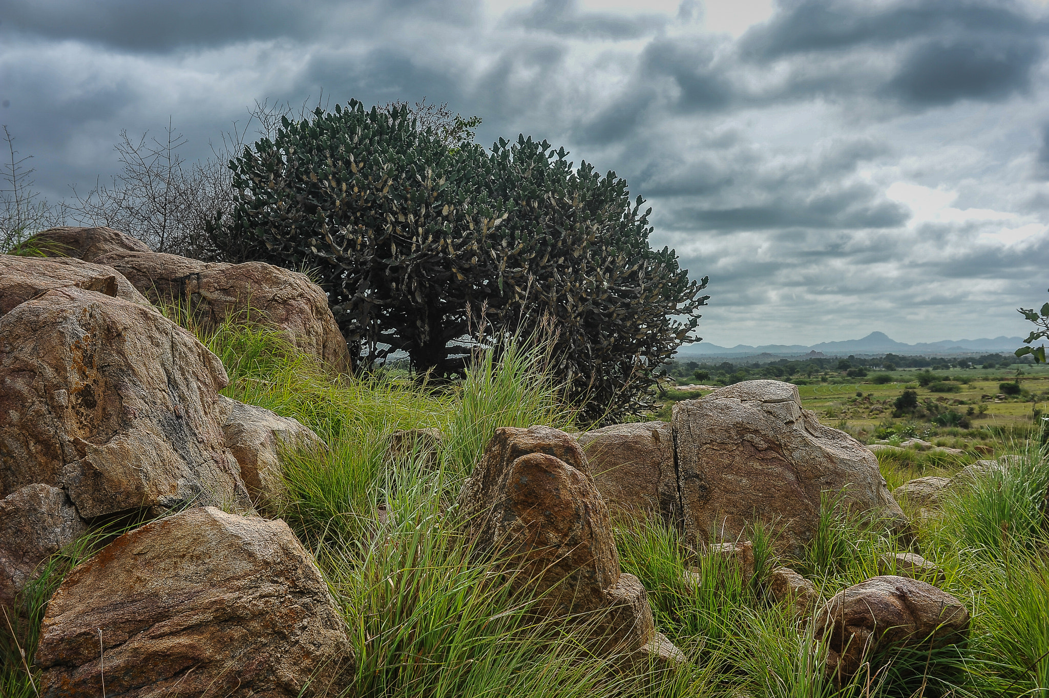 Nikon D700 + AF Zoom-Nikkor 35-70mm f/2.8D sample photo. Moods of monsoon photography