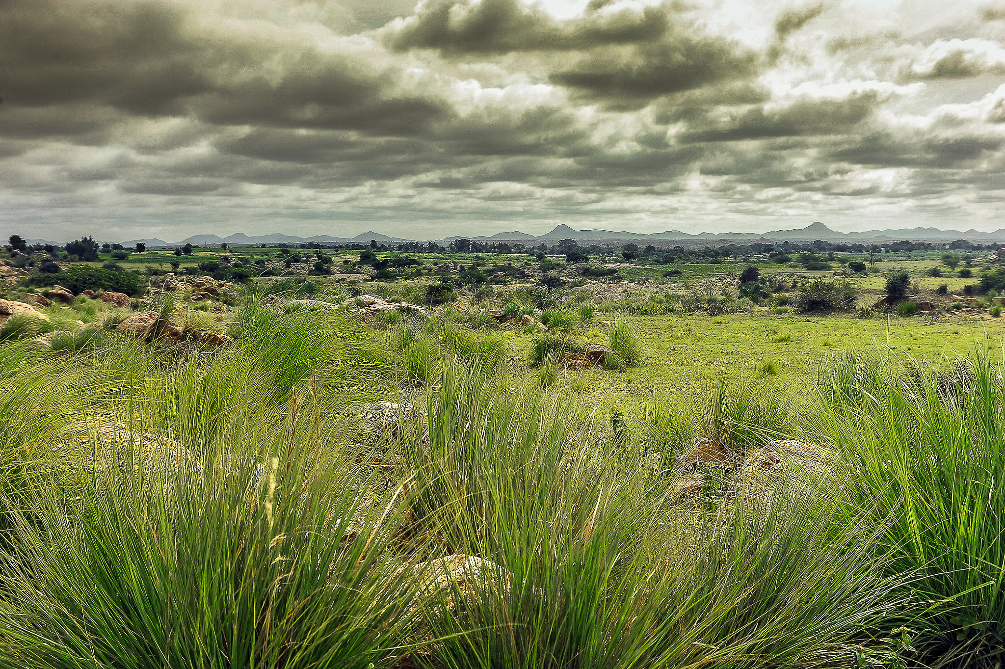 Nikon D700 + AF Zoom-Nikkor 35-70mm f/2.8D sample photo. Moods of monsoon-2 photography