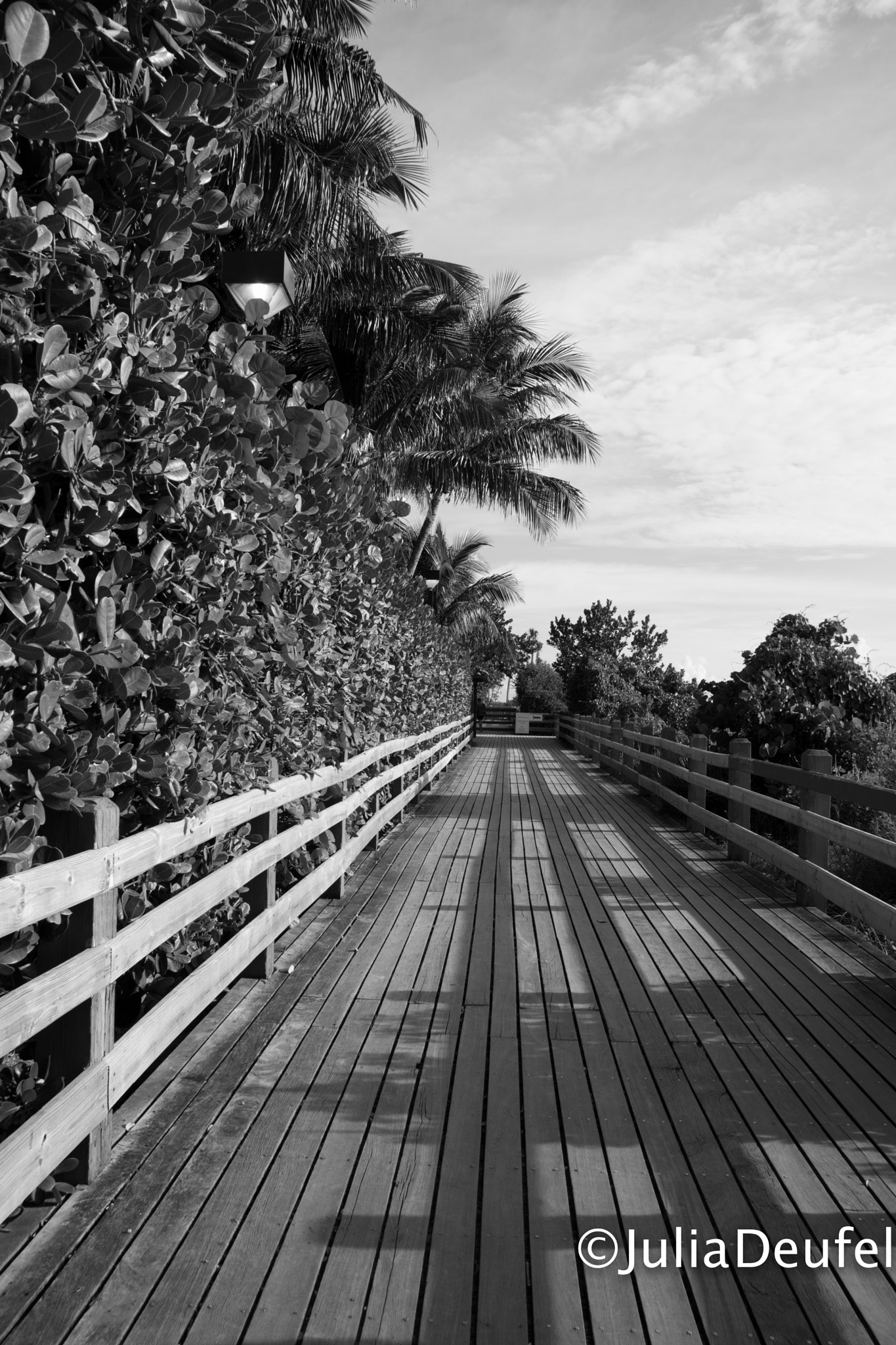 Sigma 18-200mm F3.5-6.3 II DC OS HSM sample photo. Summer walk in miami beach photography