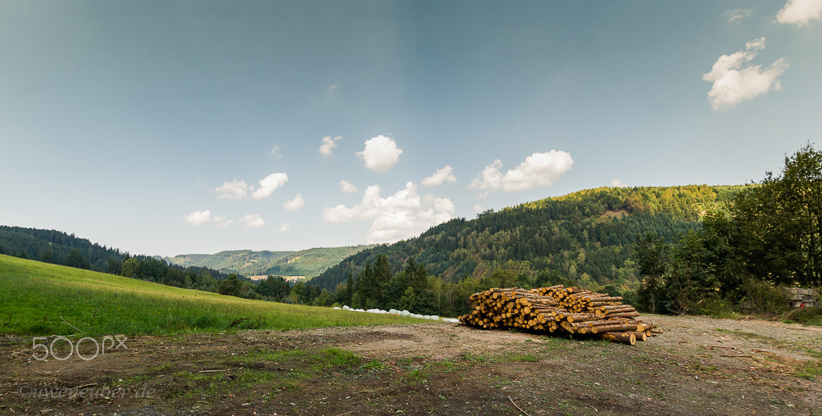 Pentax K10D + Sigma 10-20mm F3.5 EX DC HSM sample photo. Wood before the hills photography