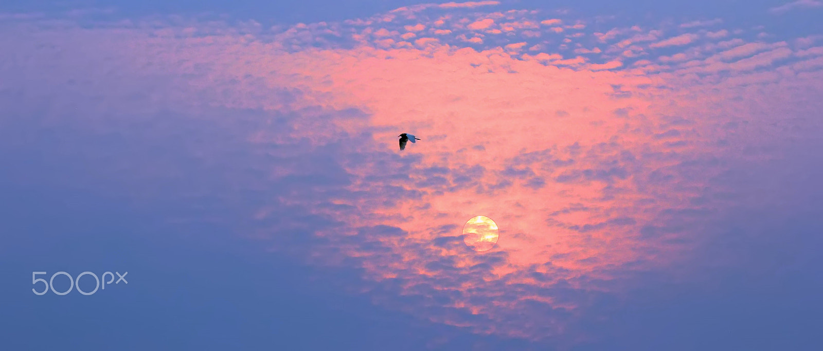 Canon EF 100-400mm F4.5-5.6L IS USM sample photo. Sunset at chi lang nam photography