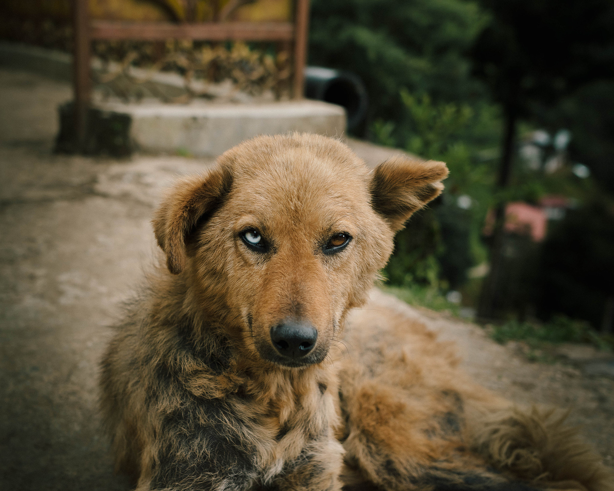 Sigma 24mm F1.4 DG HSM Art sample photo. Lost youth / lost you photography