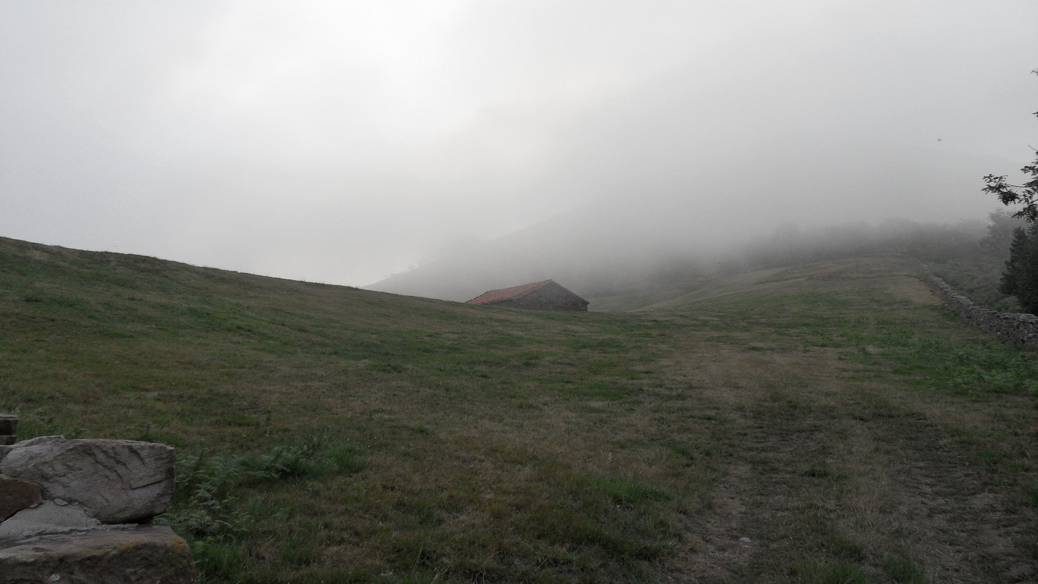 Samsung WB600 / VLUU WB600 /  WB610 sample photo. Anochecer con niebla photography
