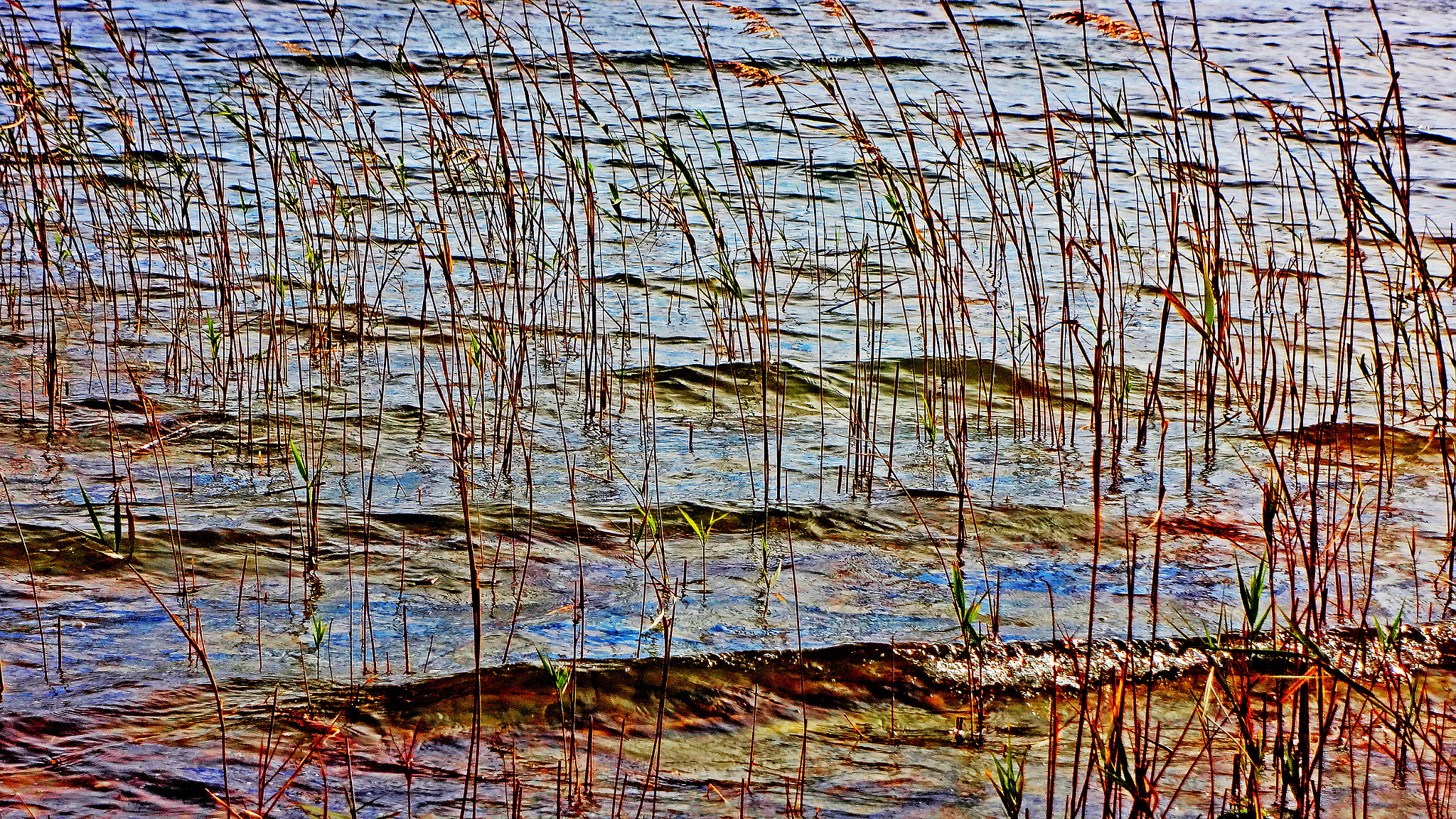 Sony DSC-WX7 sample photo. Bassin d'arcachon photography