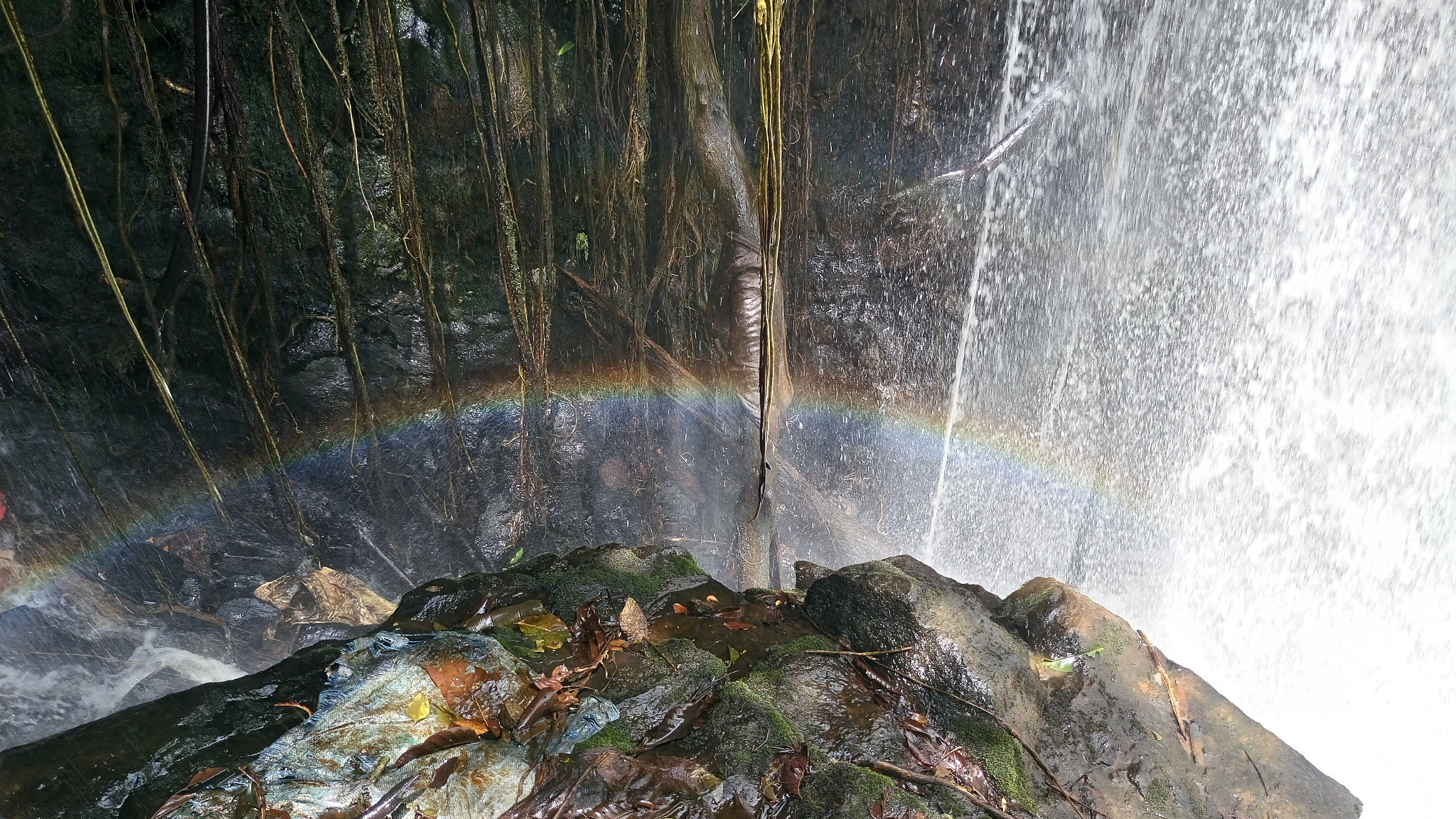 Sony Xperia M5 Dual sample photo. Untitled photography