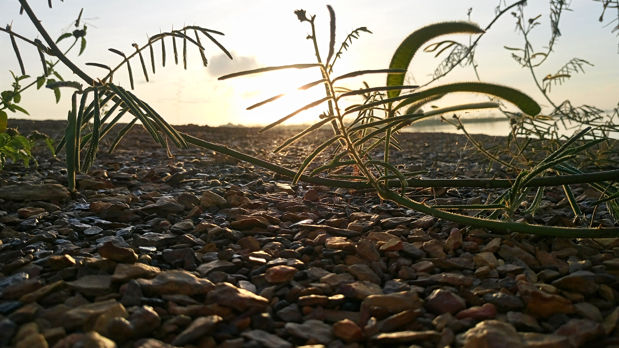 Sony Xperia M5 Dual sample photo. Dong nai, vietnam photography