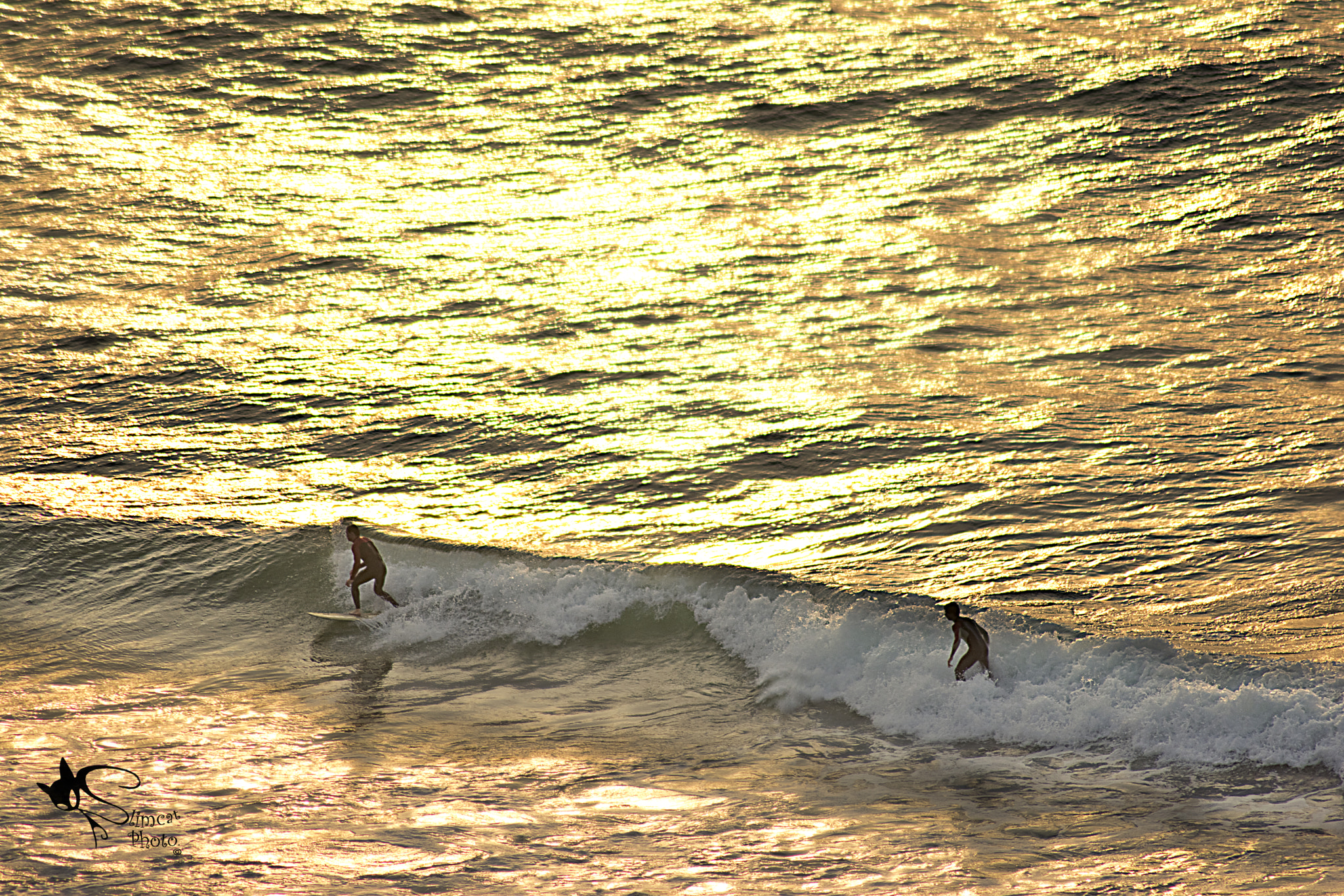 Nikon AF-S Nikkor 500mm F4D ED-IF II sample photo. Golden surfers photography
