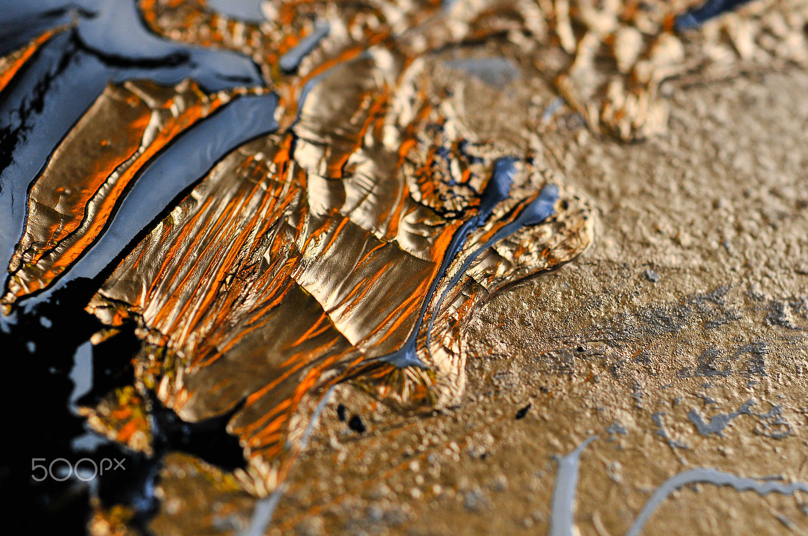 Nikon D300 + AF Micro-Nikkor 55mm f/2.8 sample photo. Some macros photography