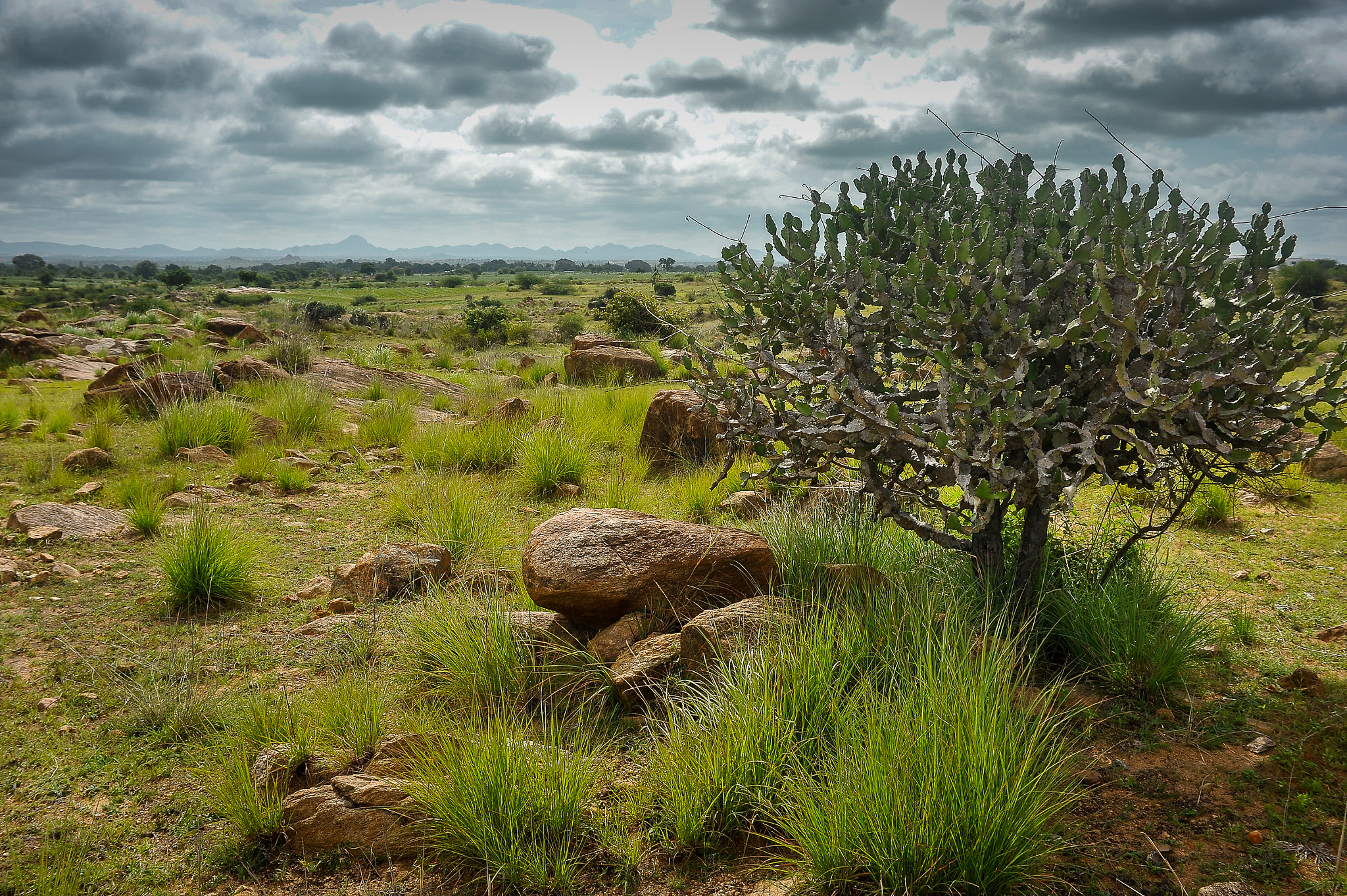 Nikon D700 + AF Zoom-Nikkor 35-70mm f/2.8D sample photo. Moods of monsoon-3 photography