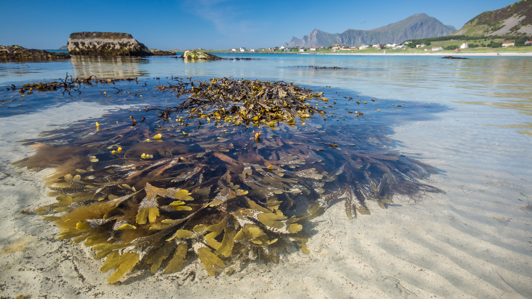 Minolta AF 28-80mm F3.5-5.6 II sample photo. Ramberg strand lofoten photography