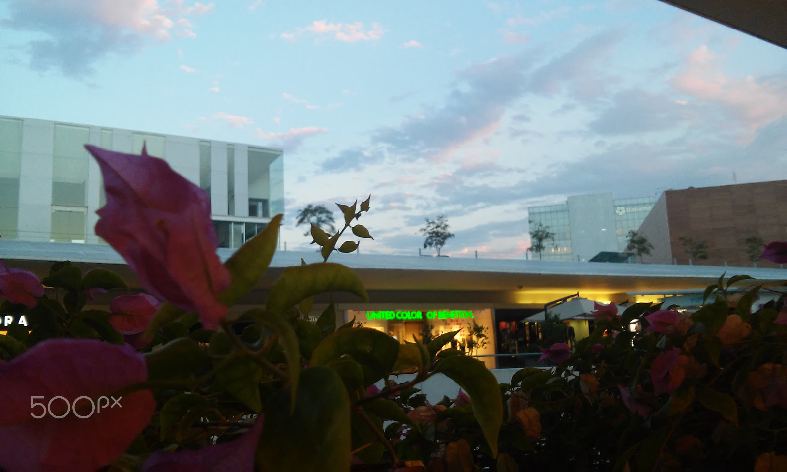 LG L70 sample photo. Vida y urbanismo photography