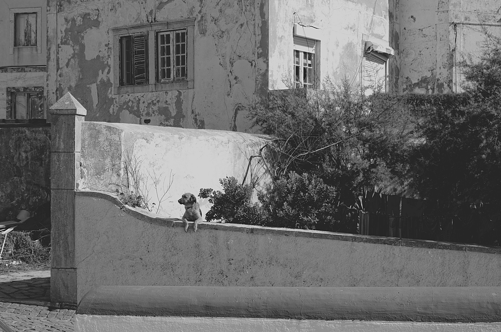 smc PENTAX-F 35-70mm F3.5-4.5 sample photo. Holding back the years photography