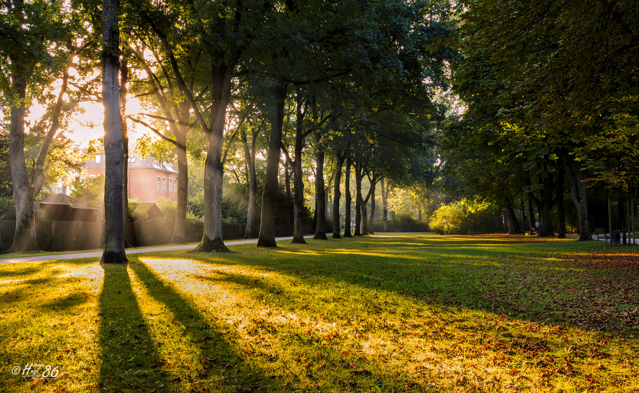 Canon EF-S 24mm F2.8 STM sample photo. Morning light at hofgarten bayreuth photography
