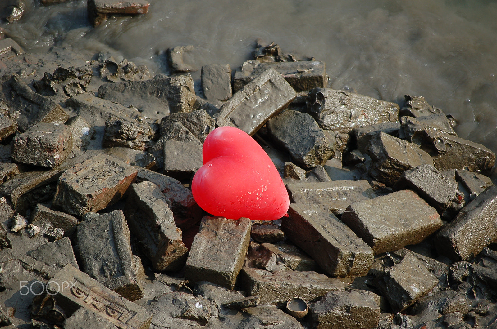 Nikon D50 sample photo. Heart photography