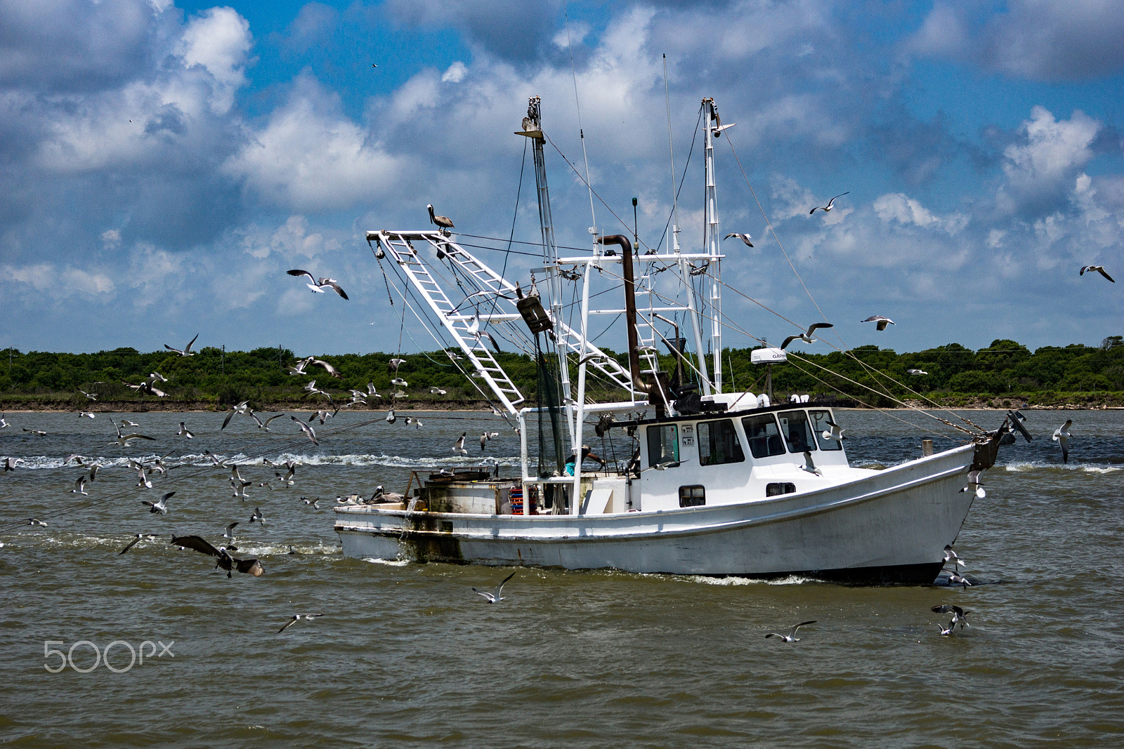 Sony 70-300mm F4.5-5.6 G SSM sample photo. Cooperative fishing photography