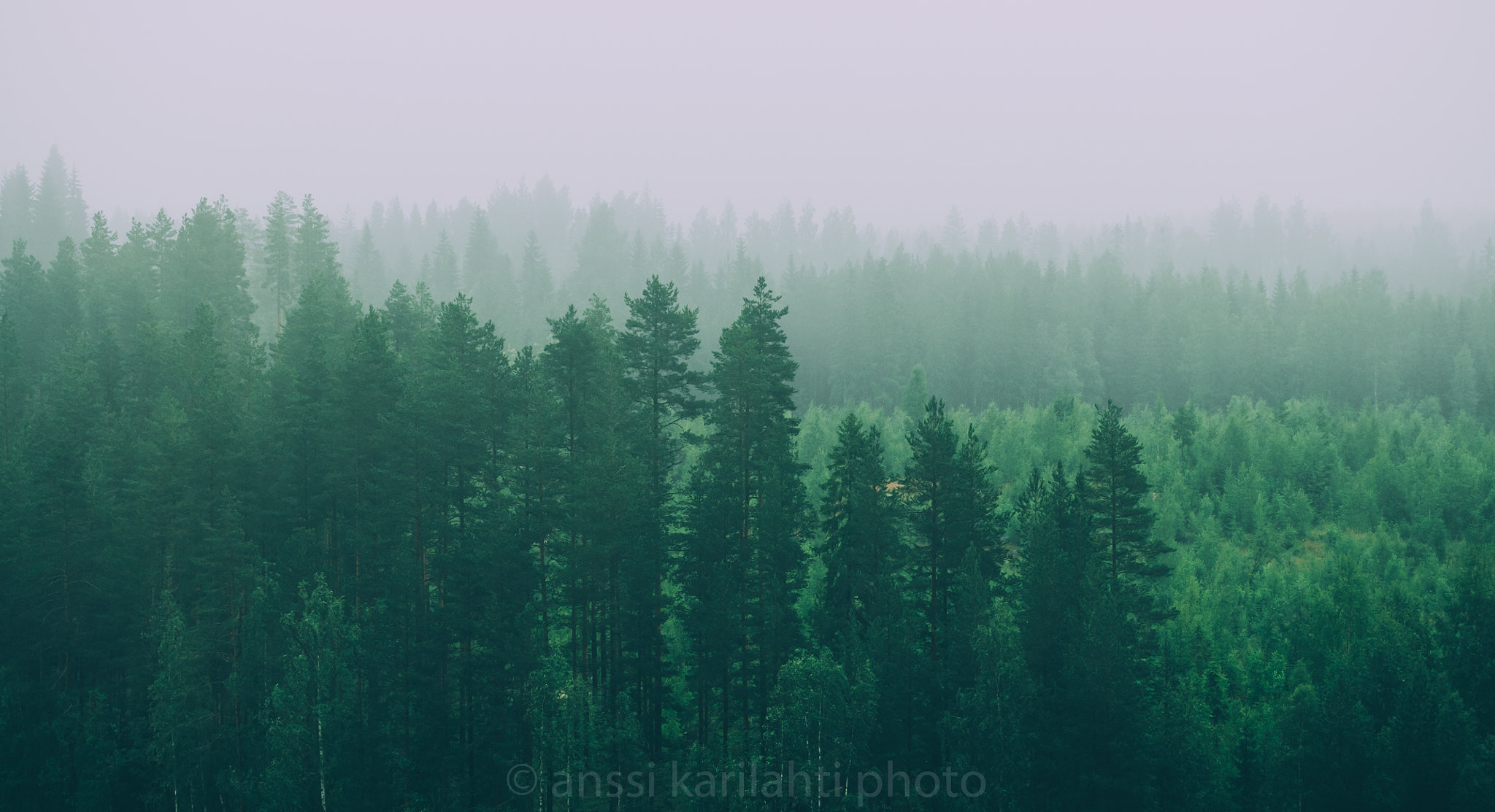 Sigma 105mm F2.8 EX DG OS HSM sample photo. Green mist photography