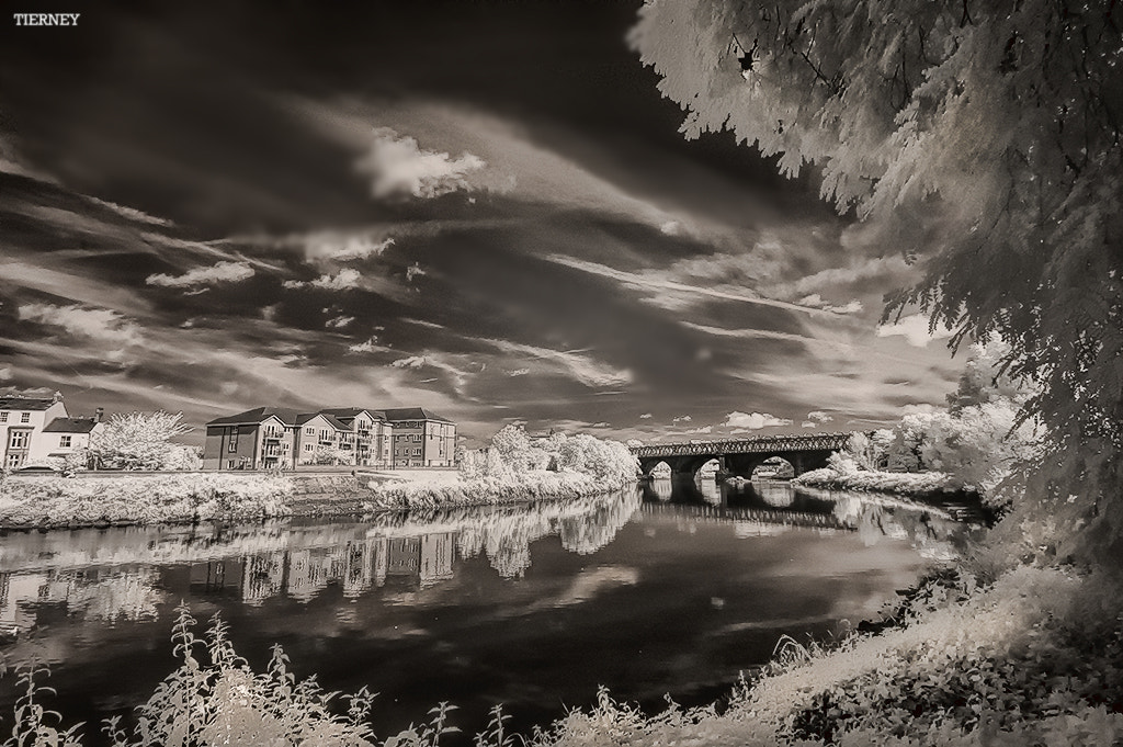 Nikon D70 sample photo. The river ribble photography
