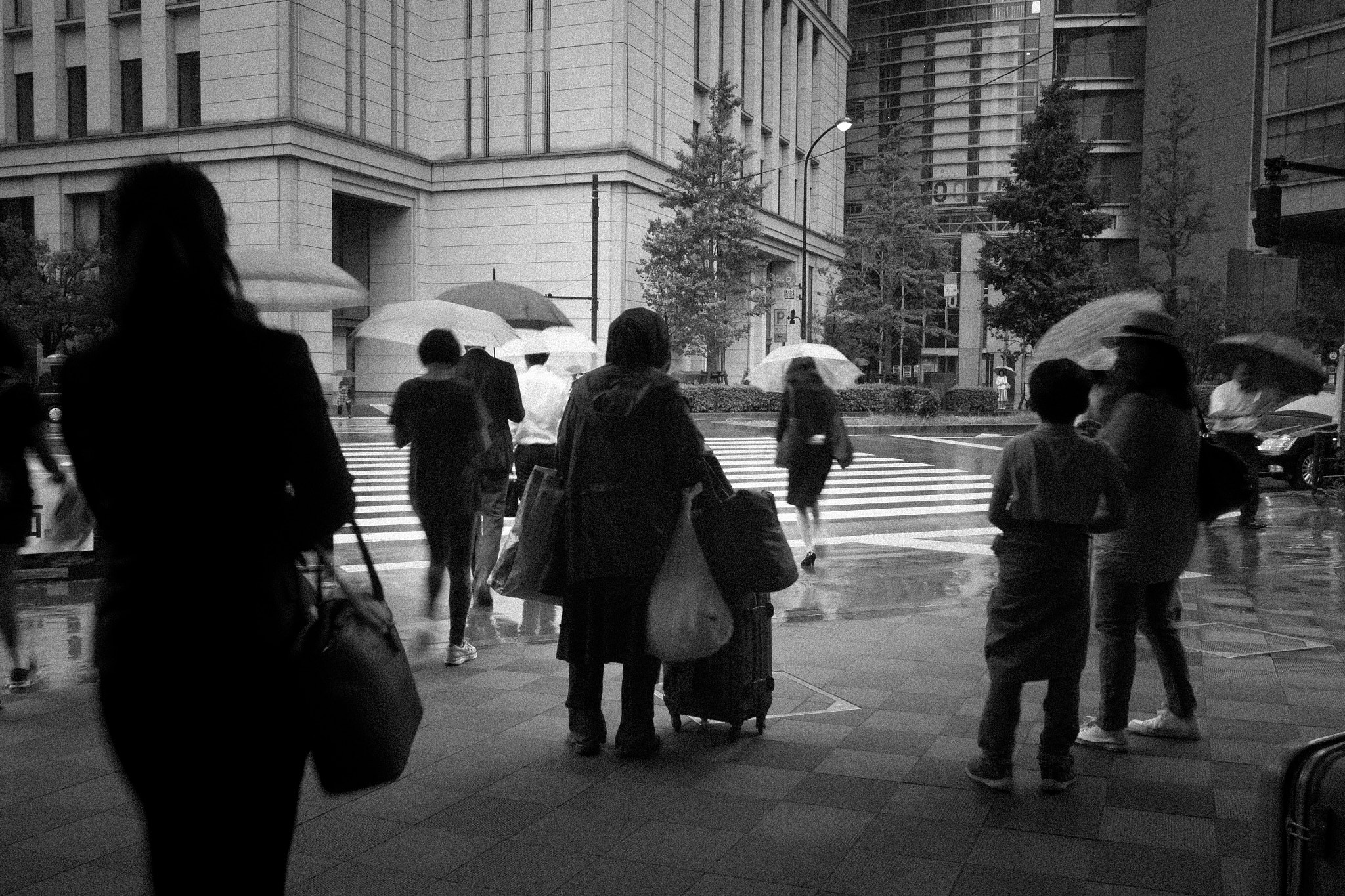 Olympus OM-D E-M1 sample photo. Rainy day photography