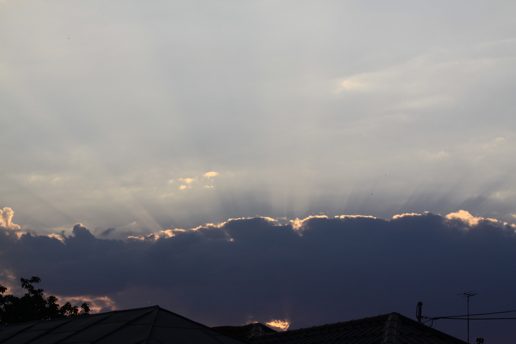 Canon EOS 50D + Canon EF 70-200mm F4L IS USM sample photo. Img photography