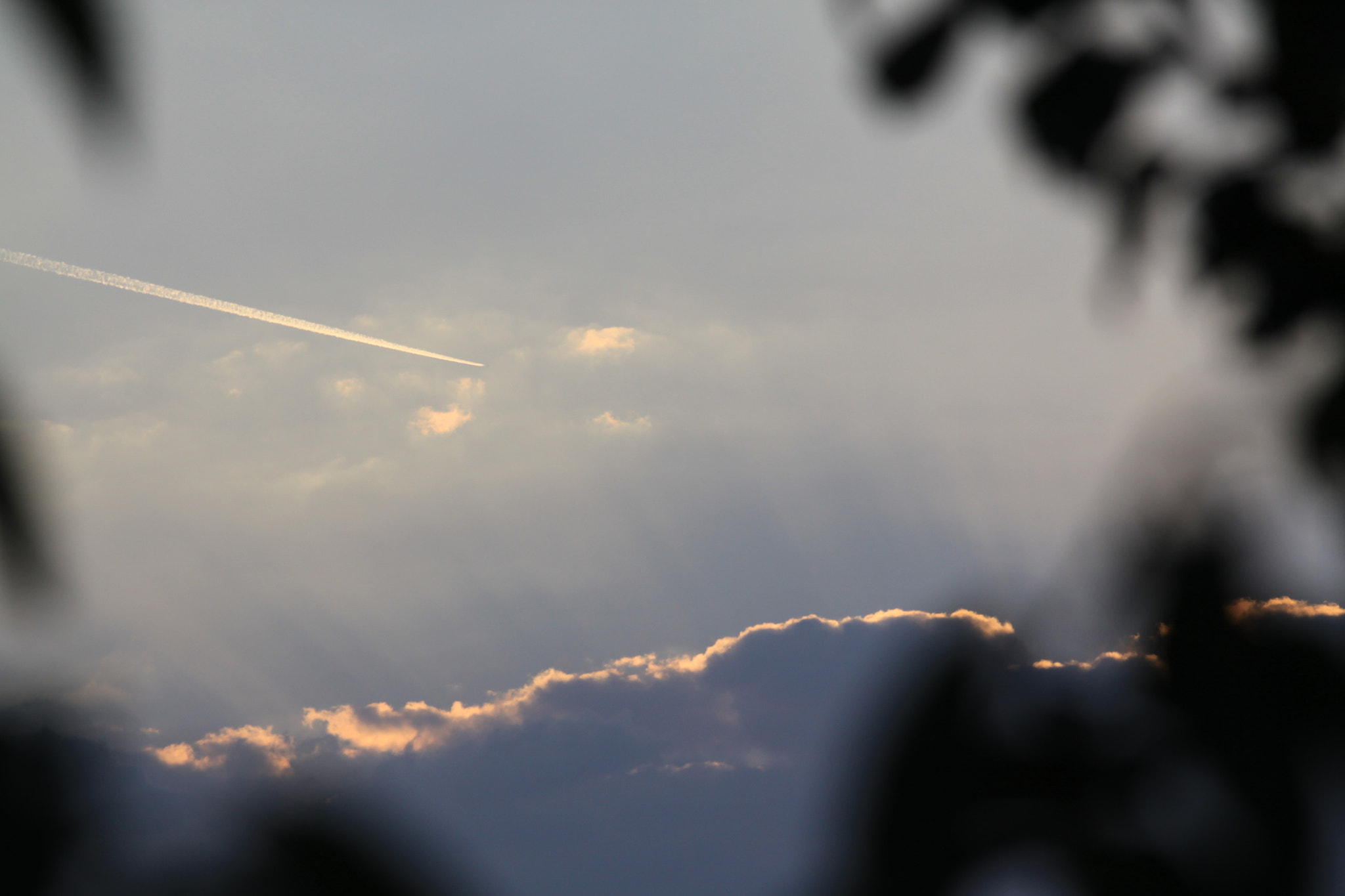 Canon EOS 50D + Canon EF 70-200mm F4L IS USM sample photo. Img photography