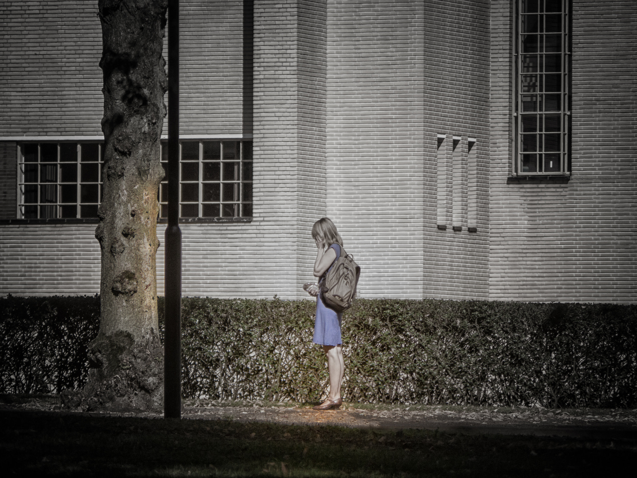 Panasonic Lumix G Vario 45-200mm F4-5.6 OIS sample photo. The shining... photography