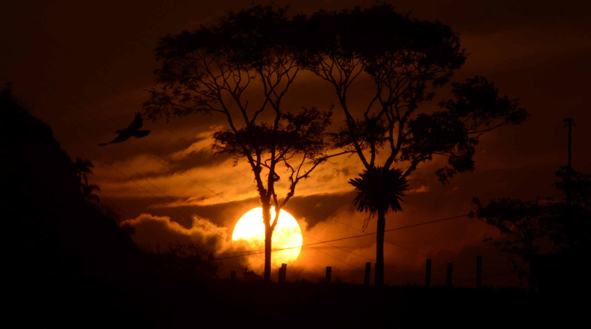 Nikon AF Nikkor 70-300mm F4-5.6G sample photo. A new sunset photography