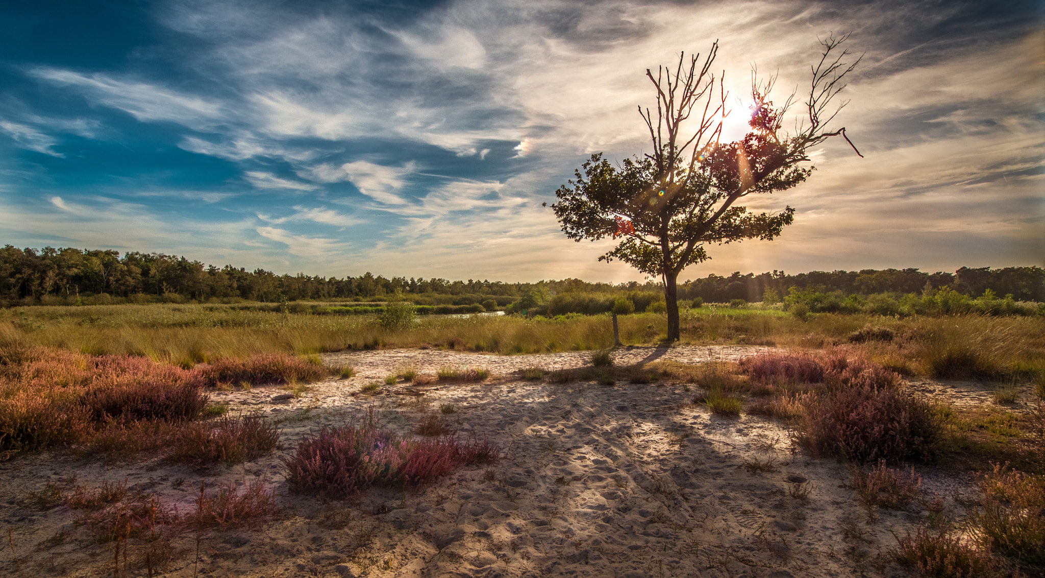 Samyang 14mm F2.8 ED AS IF UMC sample photo. Ray of light in holland photography