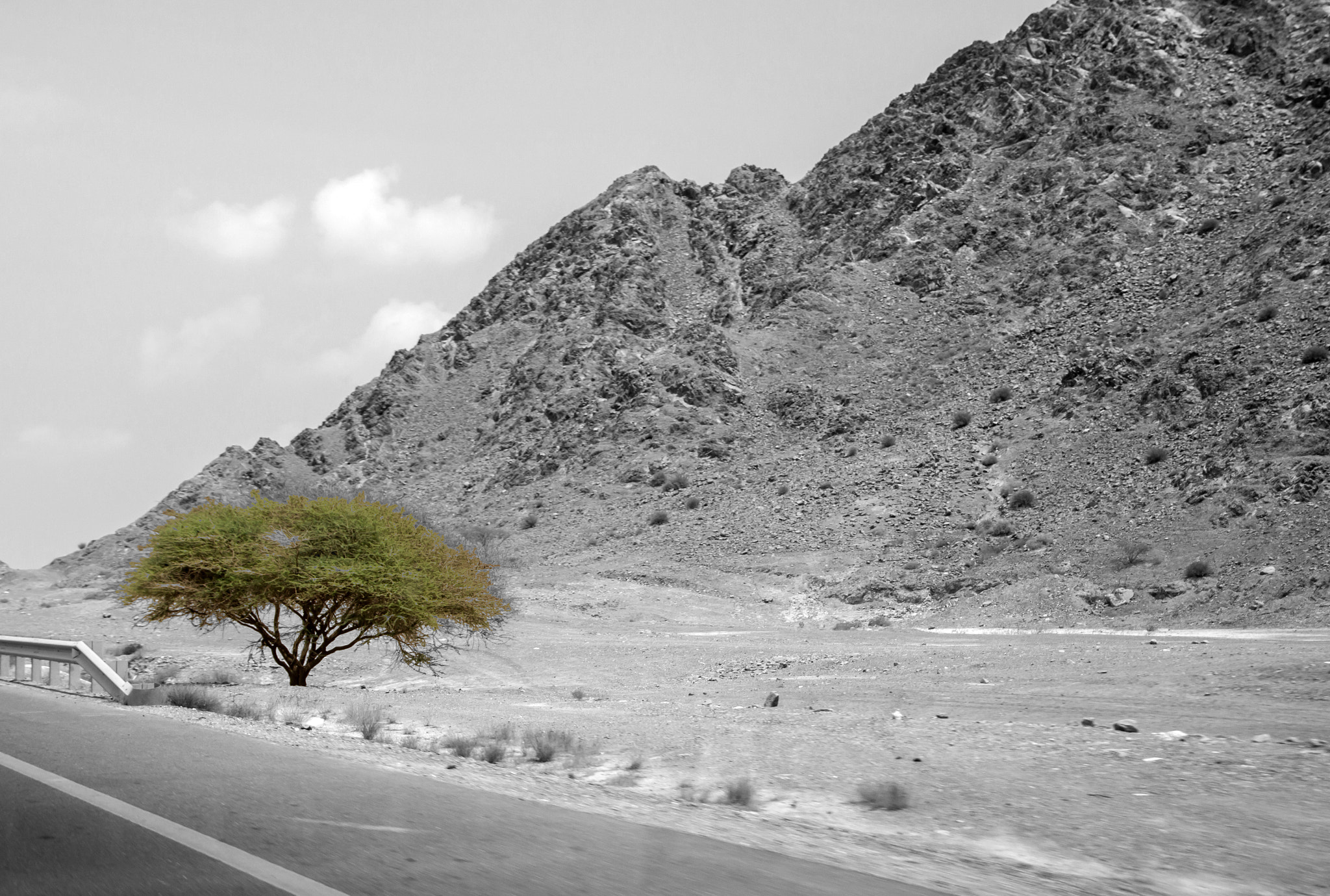 Canon EOS 100D (EOS Rebel SL1 / EOS Kiss X7) sample photo. A lonely hero photography