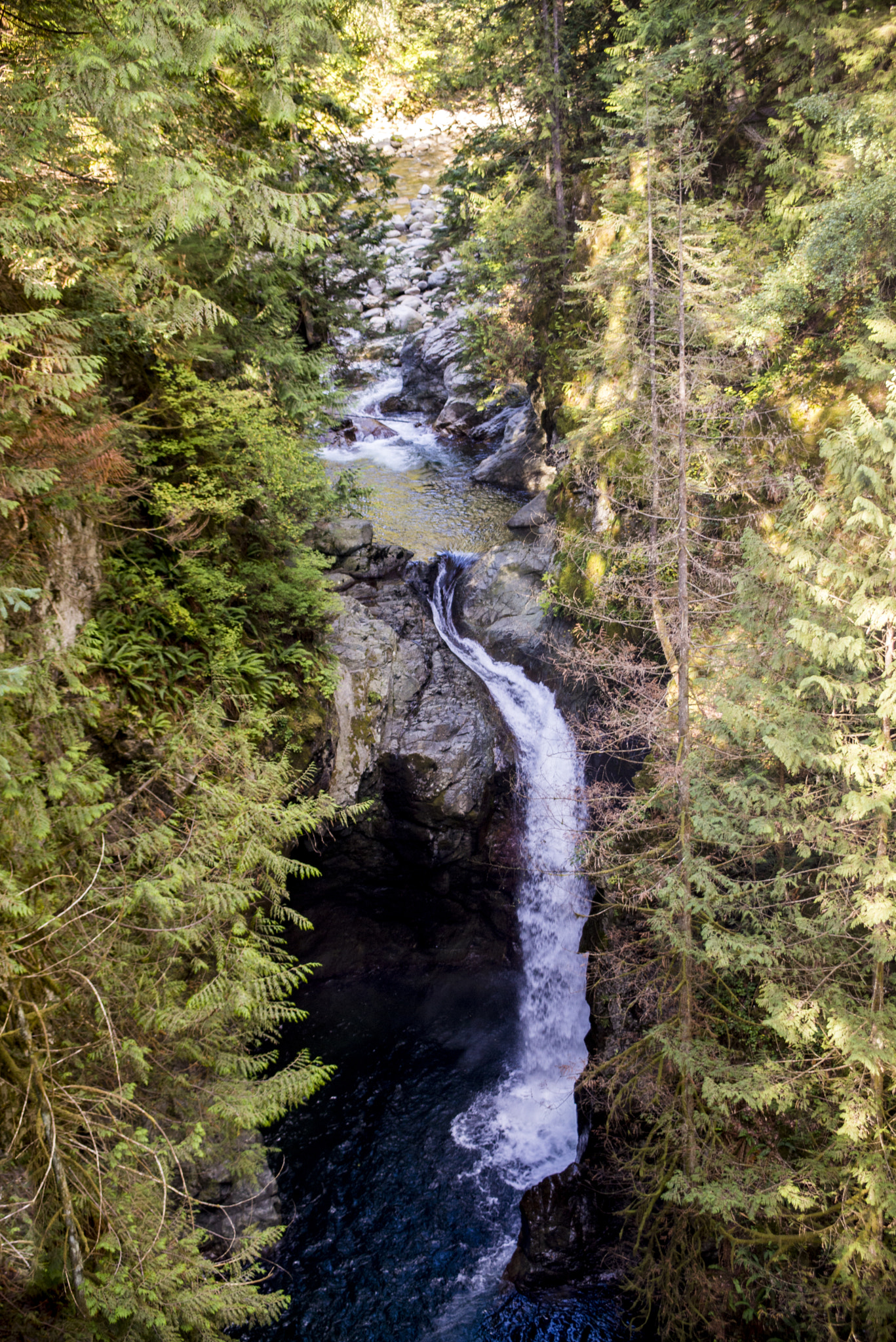 Nikon D600 sample photo. Lynn canyon park vancouver, bc photography
