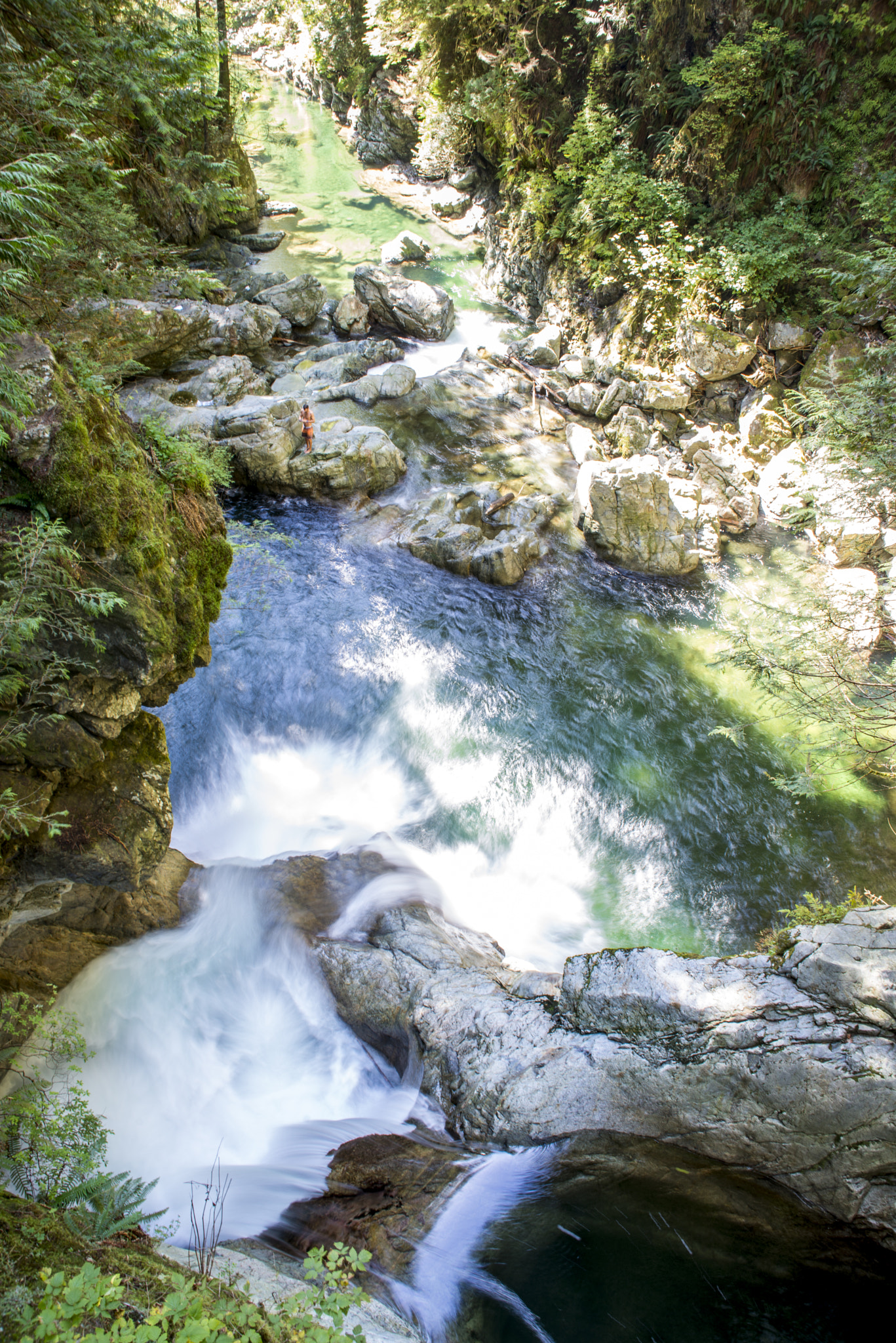 AF Zoom-Nikkor 28-200mm f/3.5-5.6D IF sample photo. Lynn canyon park vancouver, bc photography