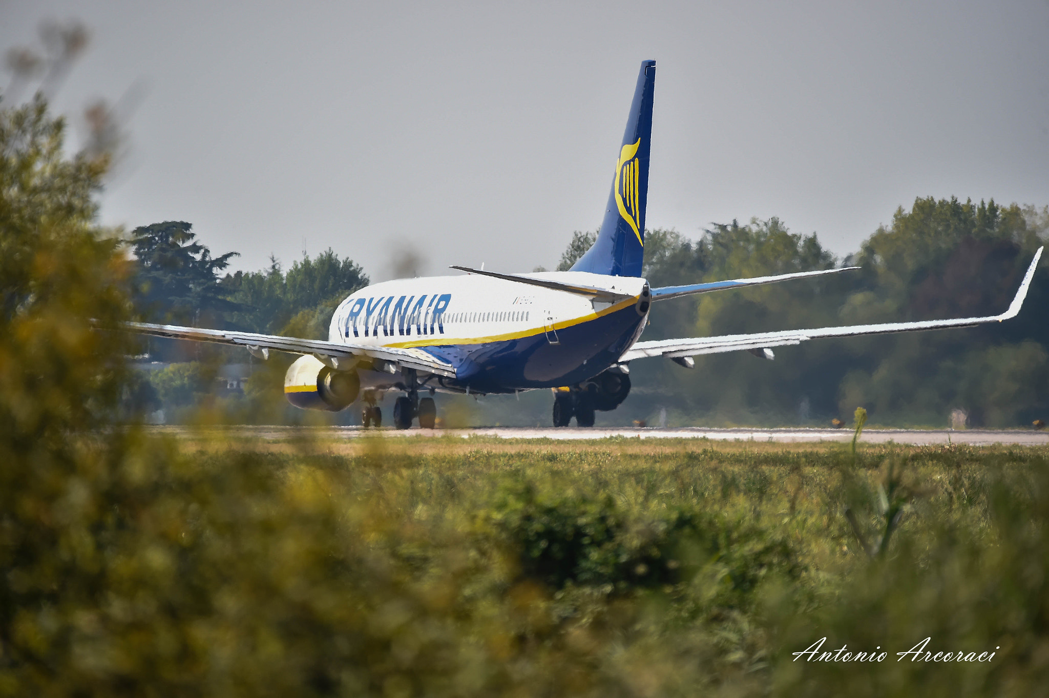 Sigma 150-600mm F5-6.3 DG OS HSM | S sample photo. Takeoff photography