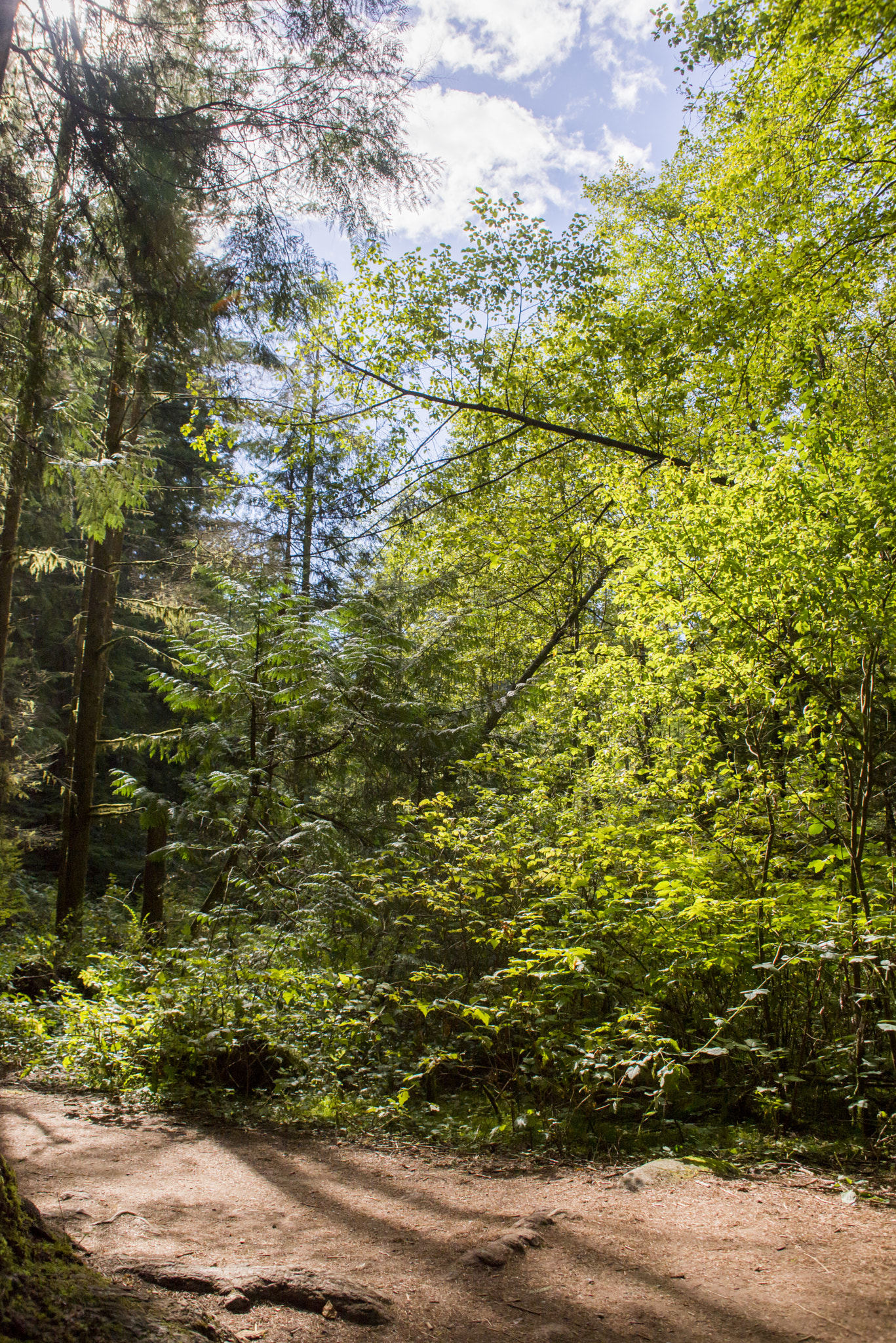 Nikon D600 sample photo. Lynn canyon park september hdr photography