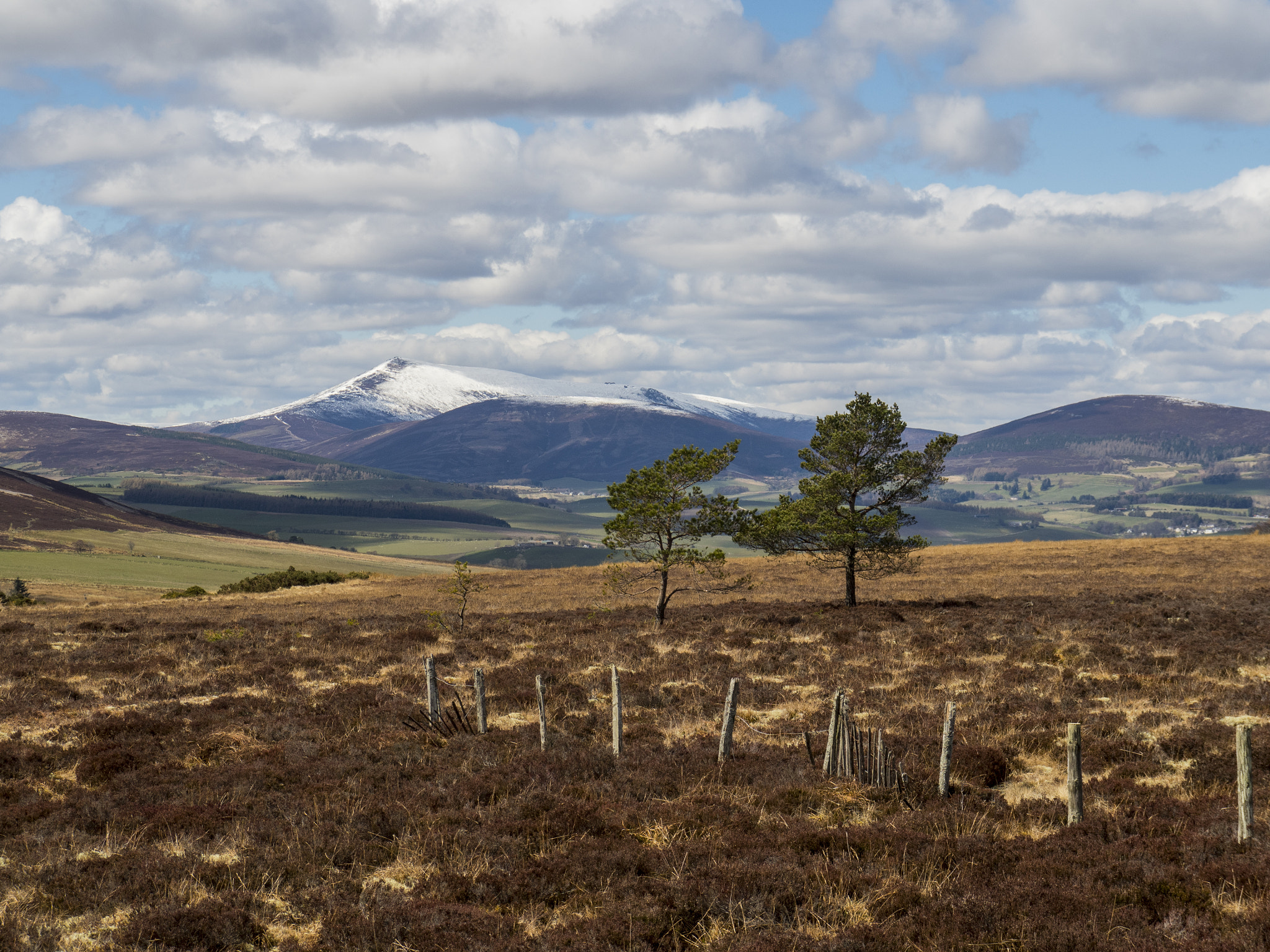 Olympus OM-D E-M5 II sample photo. Scottish countryside photography