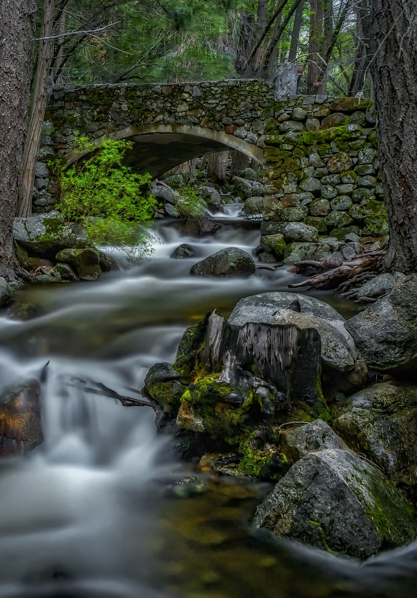 Olympus OM-D E-M5 II sample photo. Spring time in yosemite photography