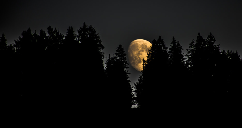 Canon EF 75-300mm F4.0-5.6 IS USM sample photo. Hidden moon photography