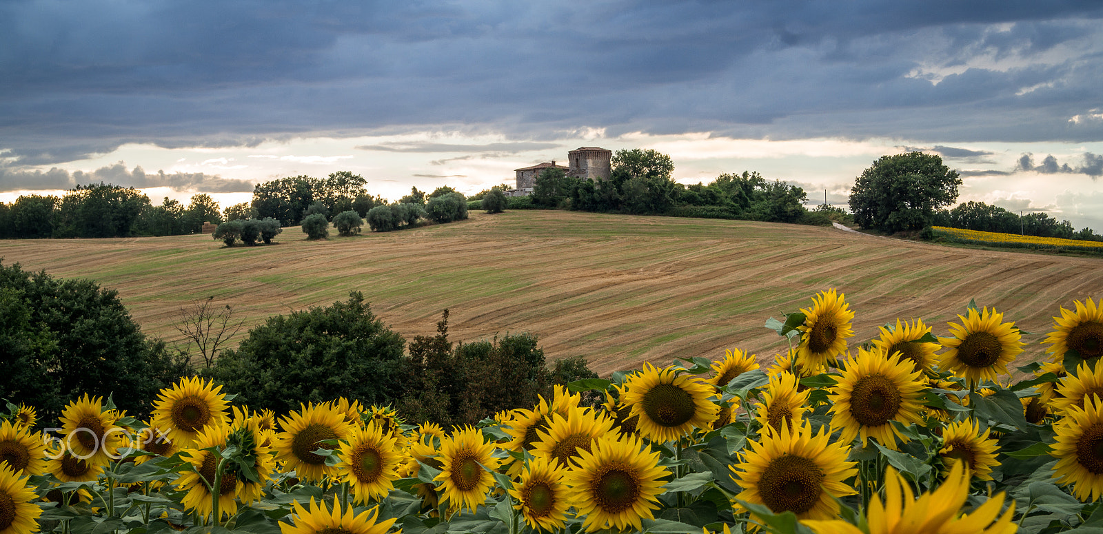Samsung NX 20-50mm F3.5-5.6 ED sample photo. Castello di montalbano sunset photography